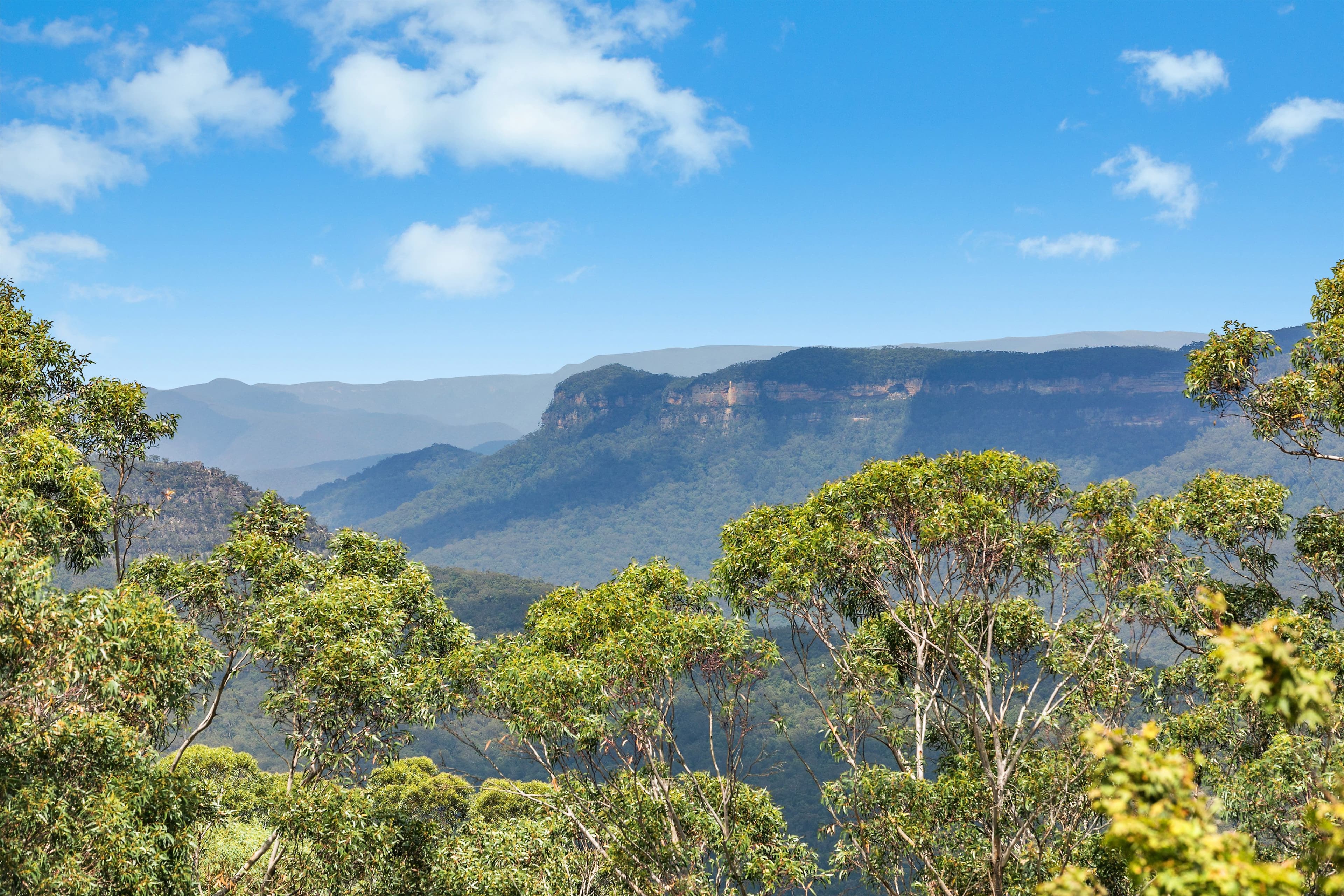 403 ERROR, Leura - Thumbnail 6