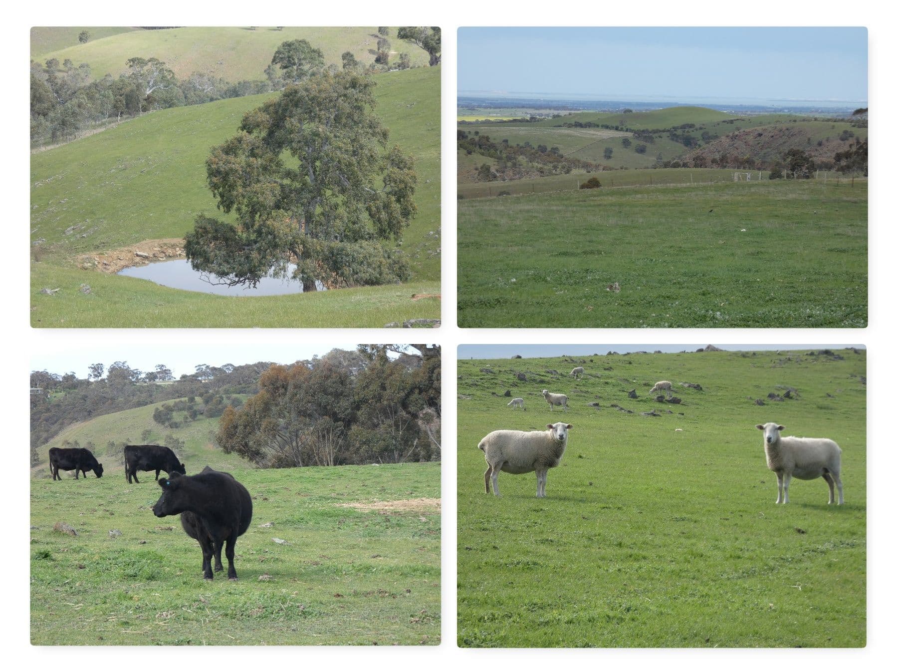 82F Treutler Road, Wistow SA 5251, Wistow - Image 1