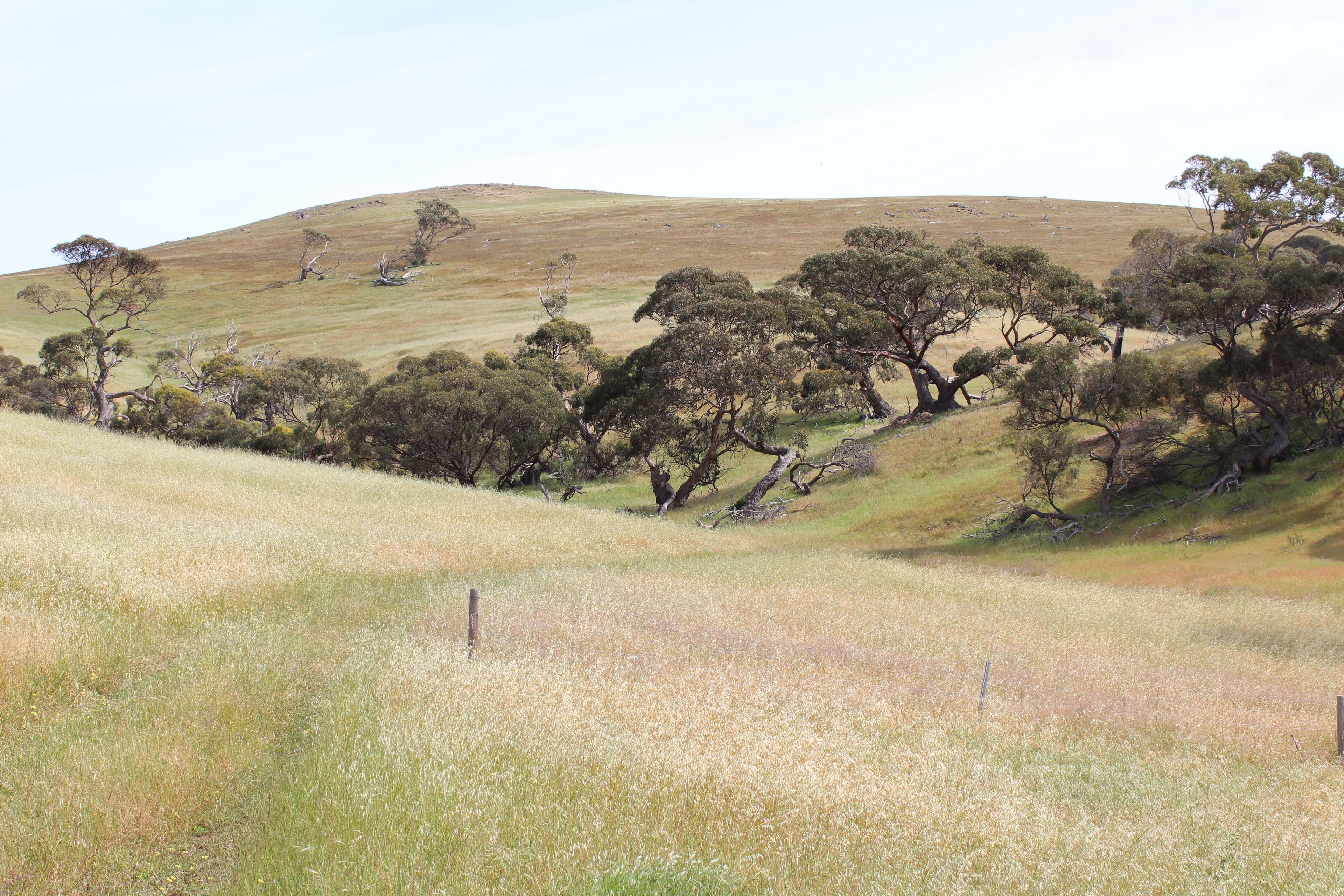 Lot 17 Foothills Road, Tumby Bay SA 5605, Tumby Bay - Thumbnail 3