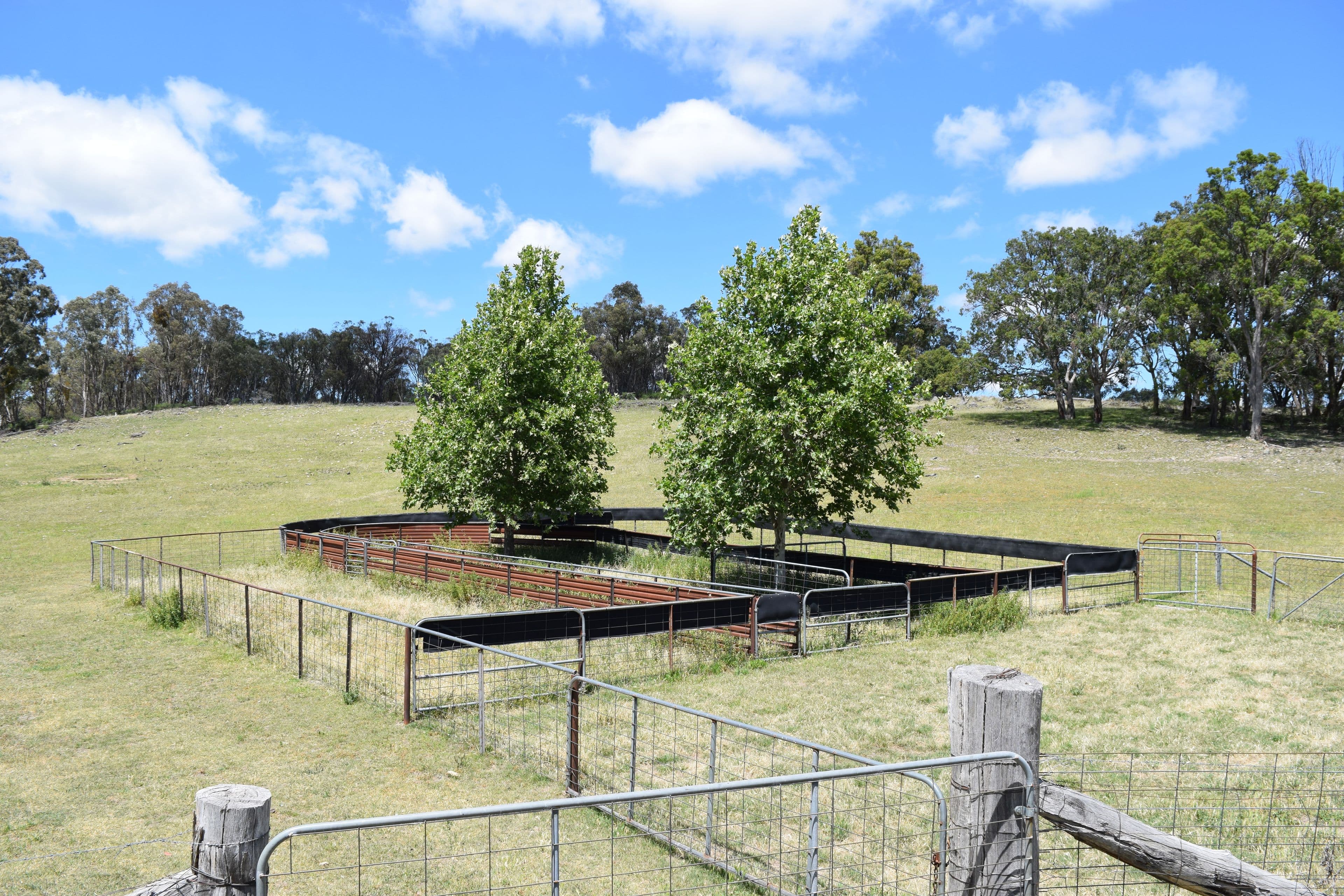 2201 Longford Road, Guyra NSW 2365, Guyra - Thumbnail 2