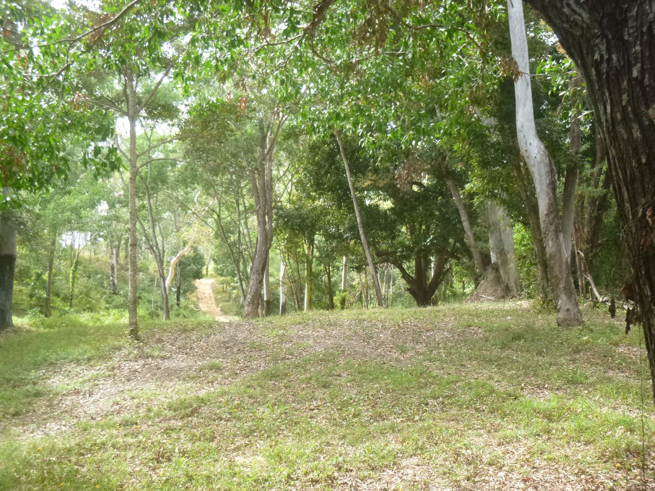 294 Shiptons Flat Road, Cooktown QLD 4895, Cooktown - Thumbnail 8
