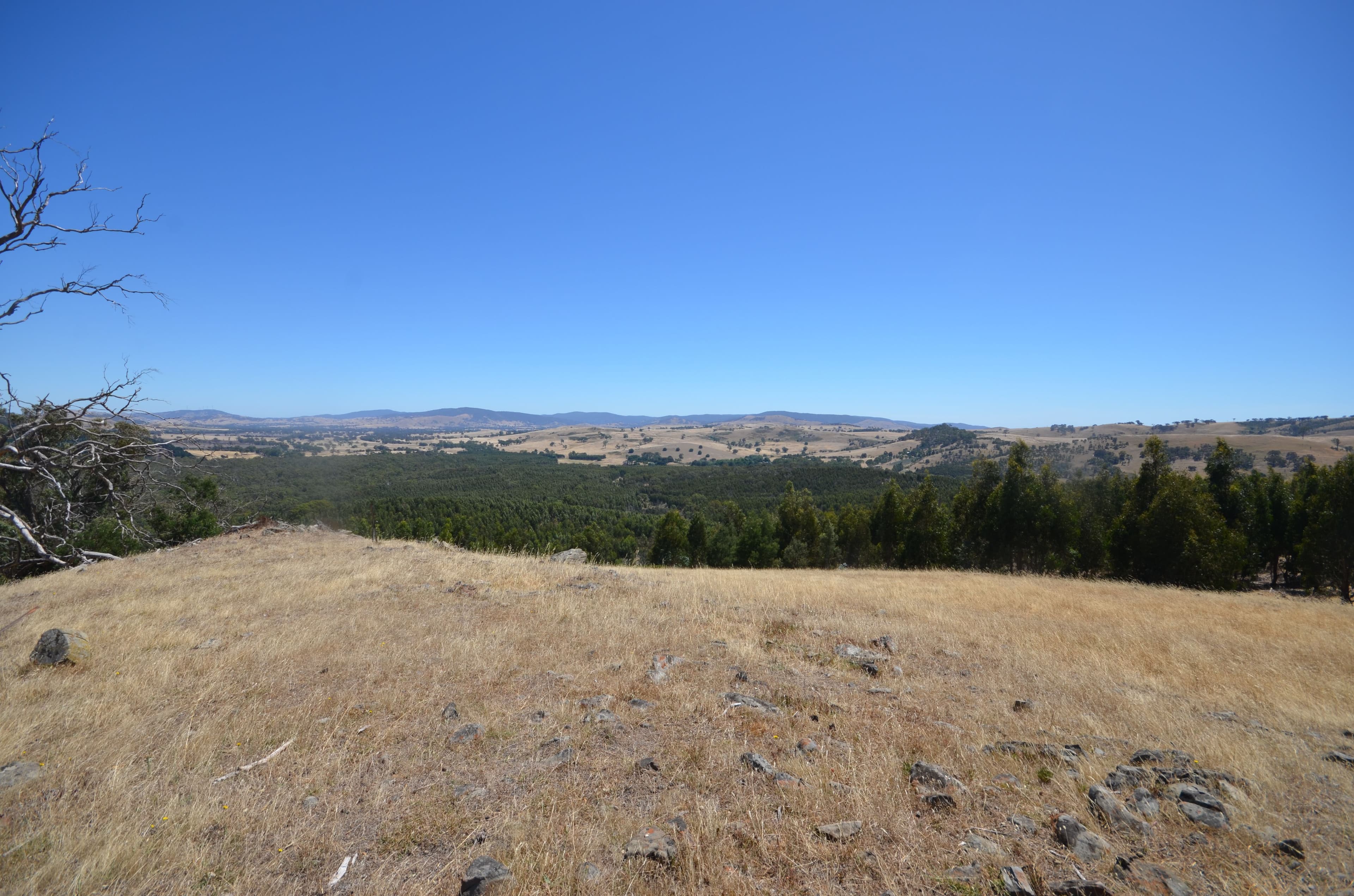 Glenlogie VIC 3469, Glenlogie - Thumbnail 2