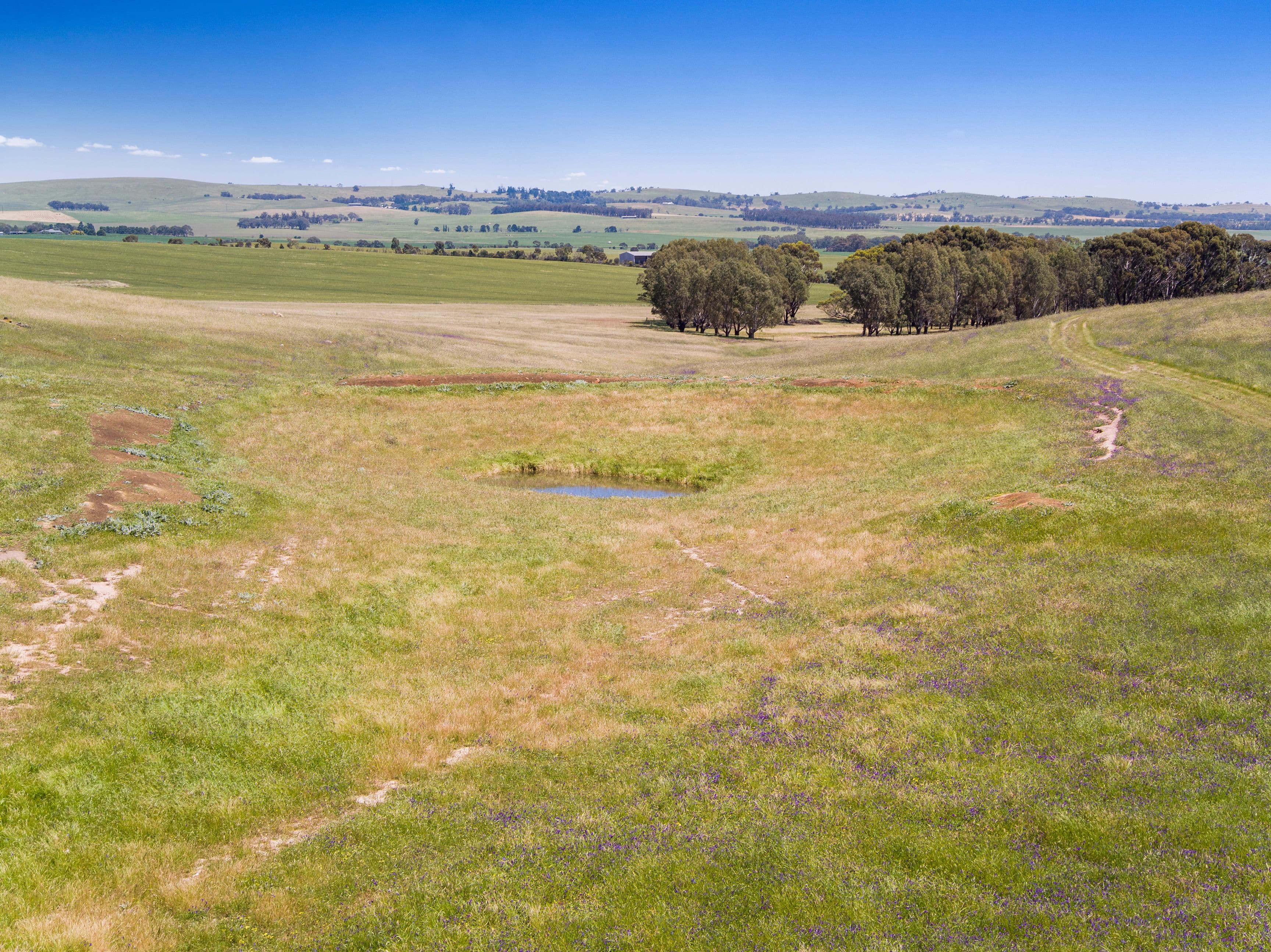 'Horse Paddock', Betterson Road, Hill River SA 5453, Hill River - Thumbnail 3