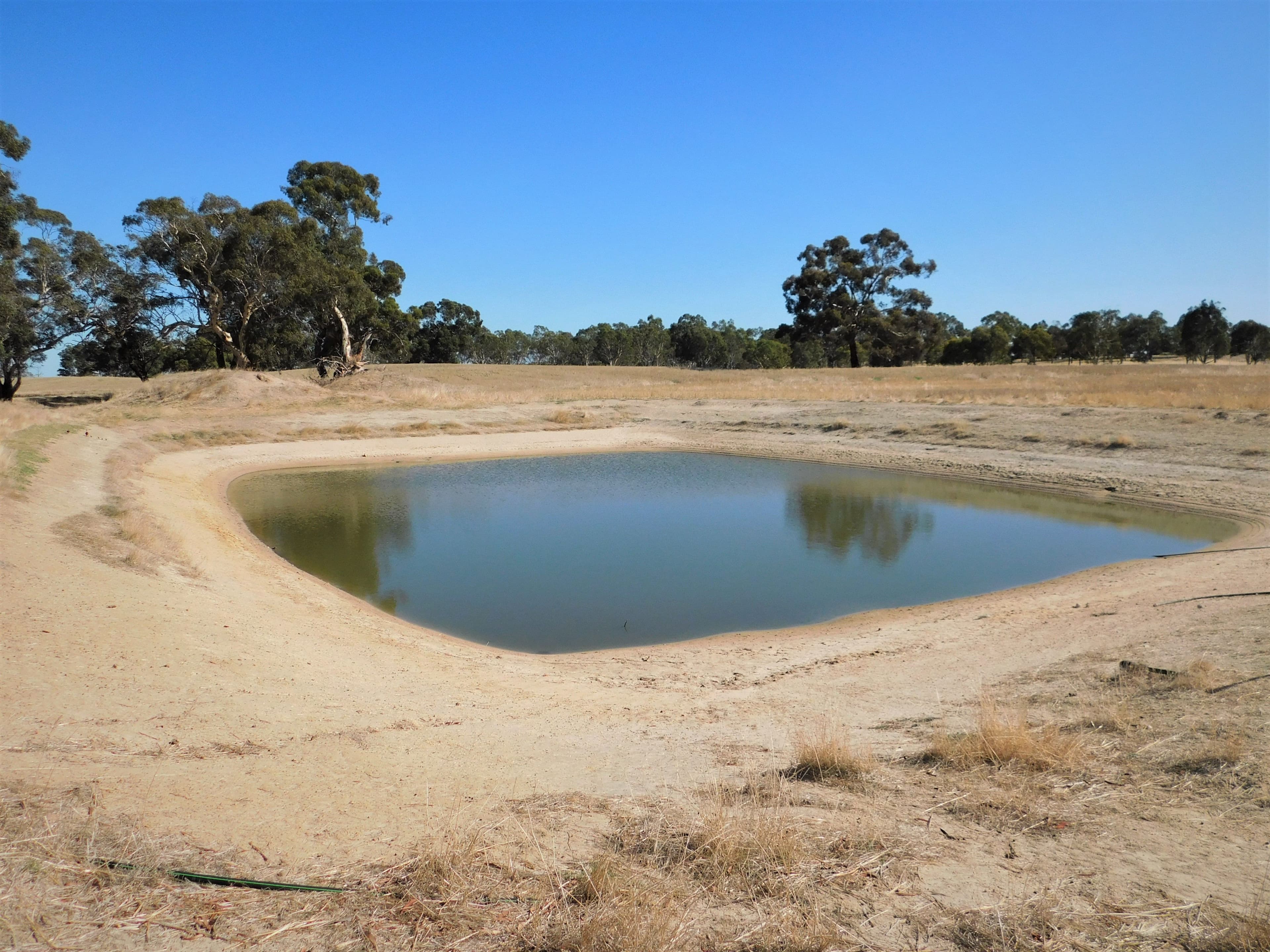 Lot 3 Golf Course Road, Bordertown SA 5268, Bordertown - Thumbnail 3