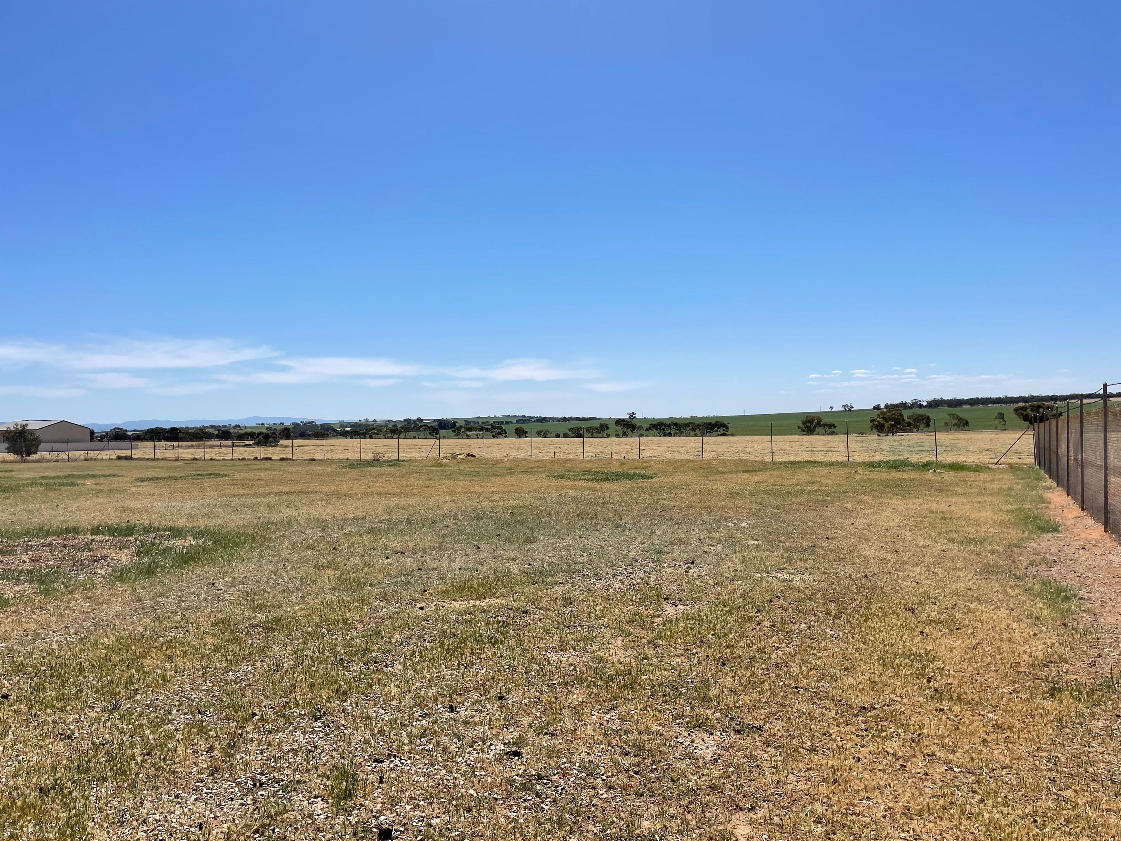 Lot 732 Arthur Street, Booleroo Centre SA 5482, Booleroo Centre - Thumbnail 5