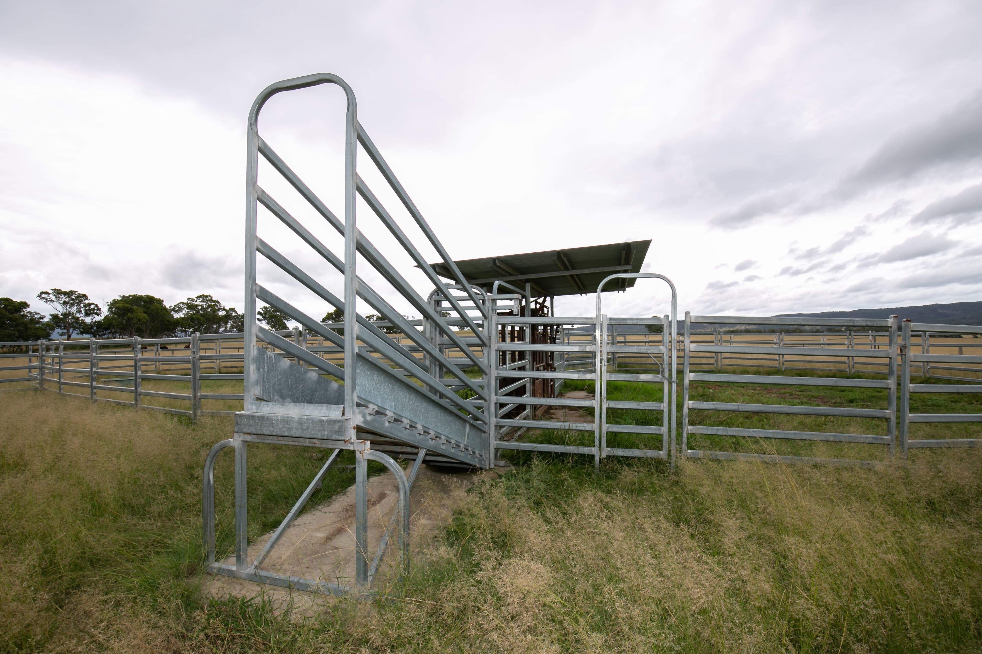 68 Ross Road, Tenterfield NSW 2372, Tenterfield - Thumbnail 3