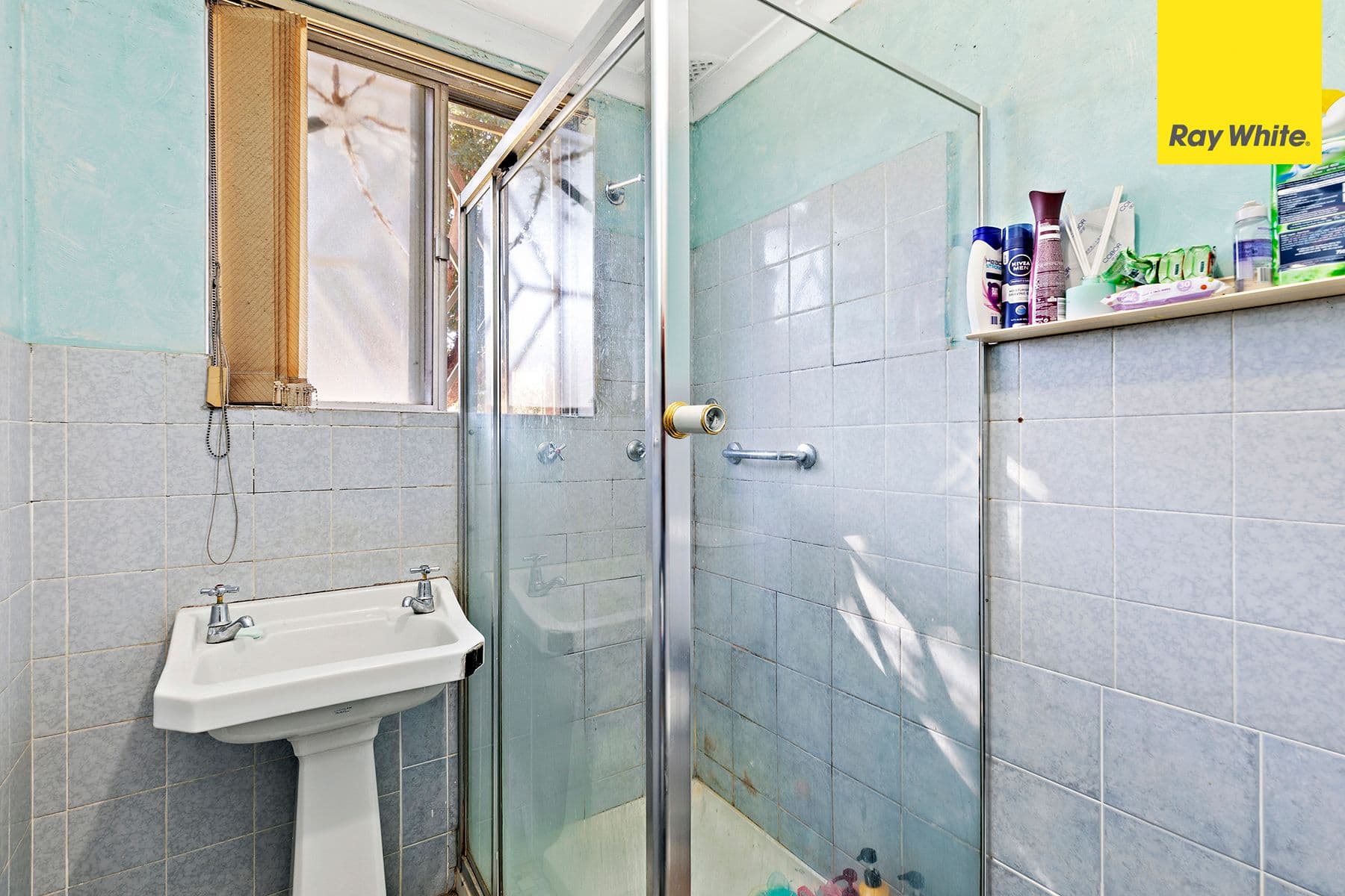 36 Hillard Street, Wiley Park NSW 2195, Wiley Park - Thumbnail 2