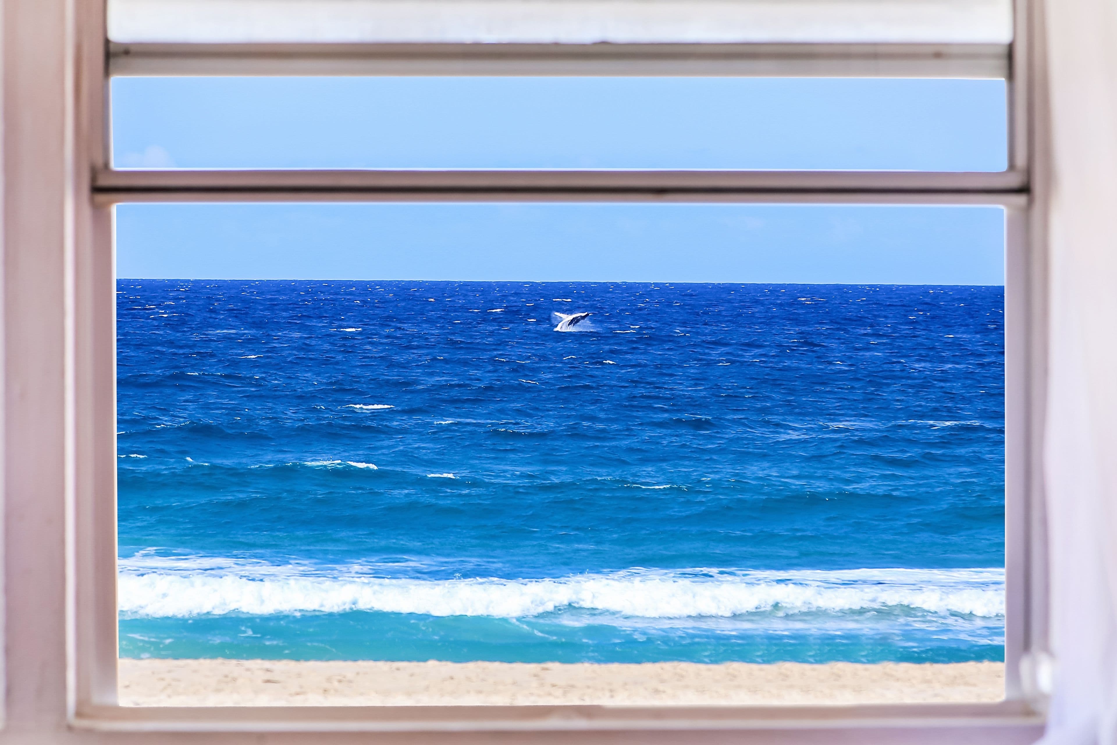720 Pacific Parade, Currumbin QLD 4223, Currumbin - Thumbnail 2