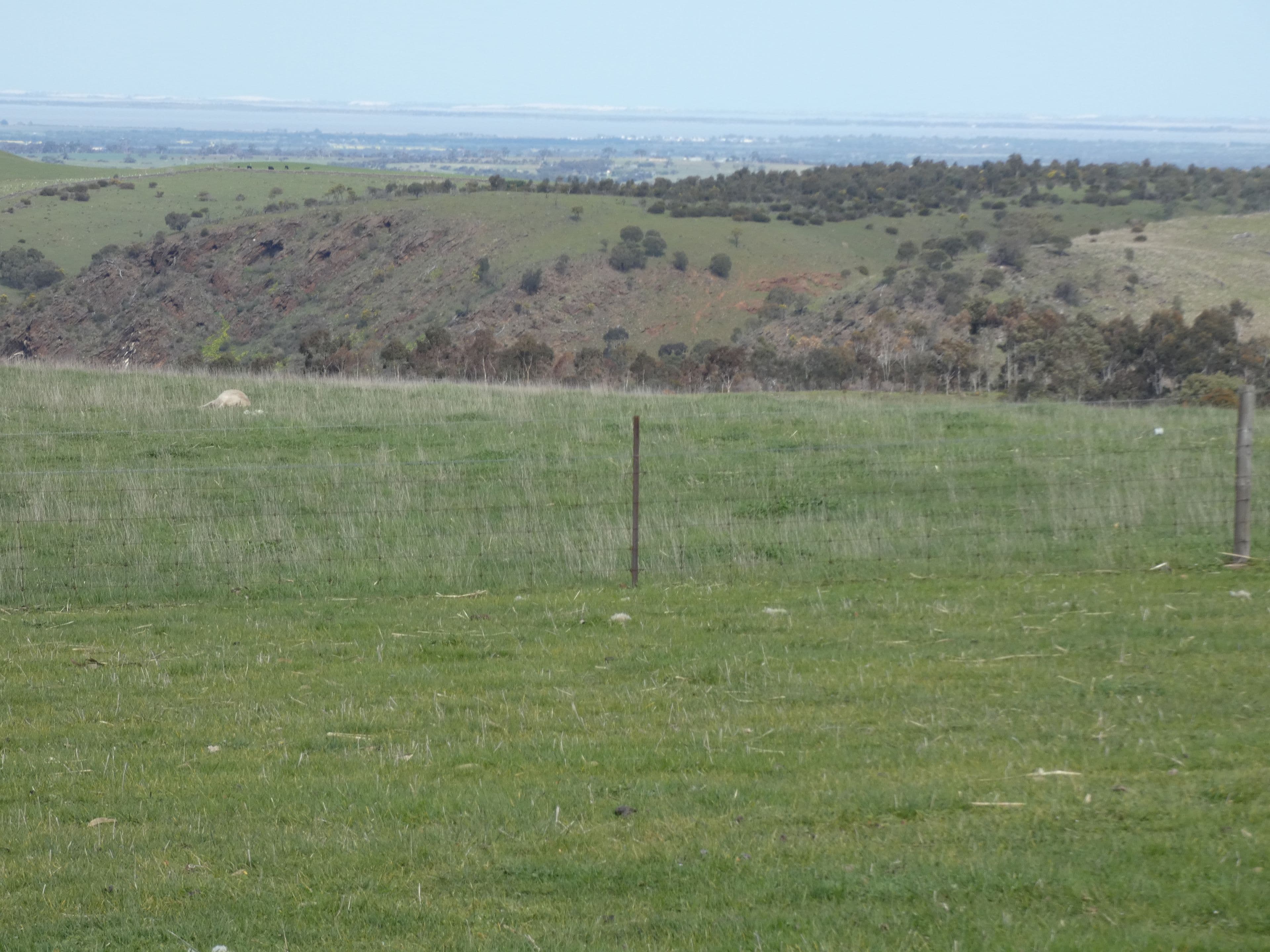 82F Treutler Road, Wistow SA 5251, Wistow - Thumbnail 8
