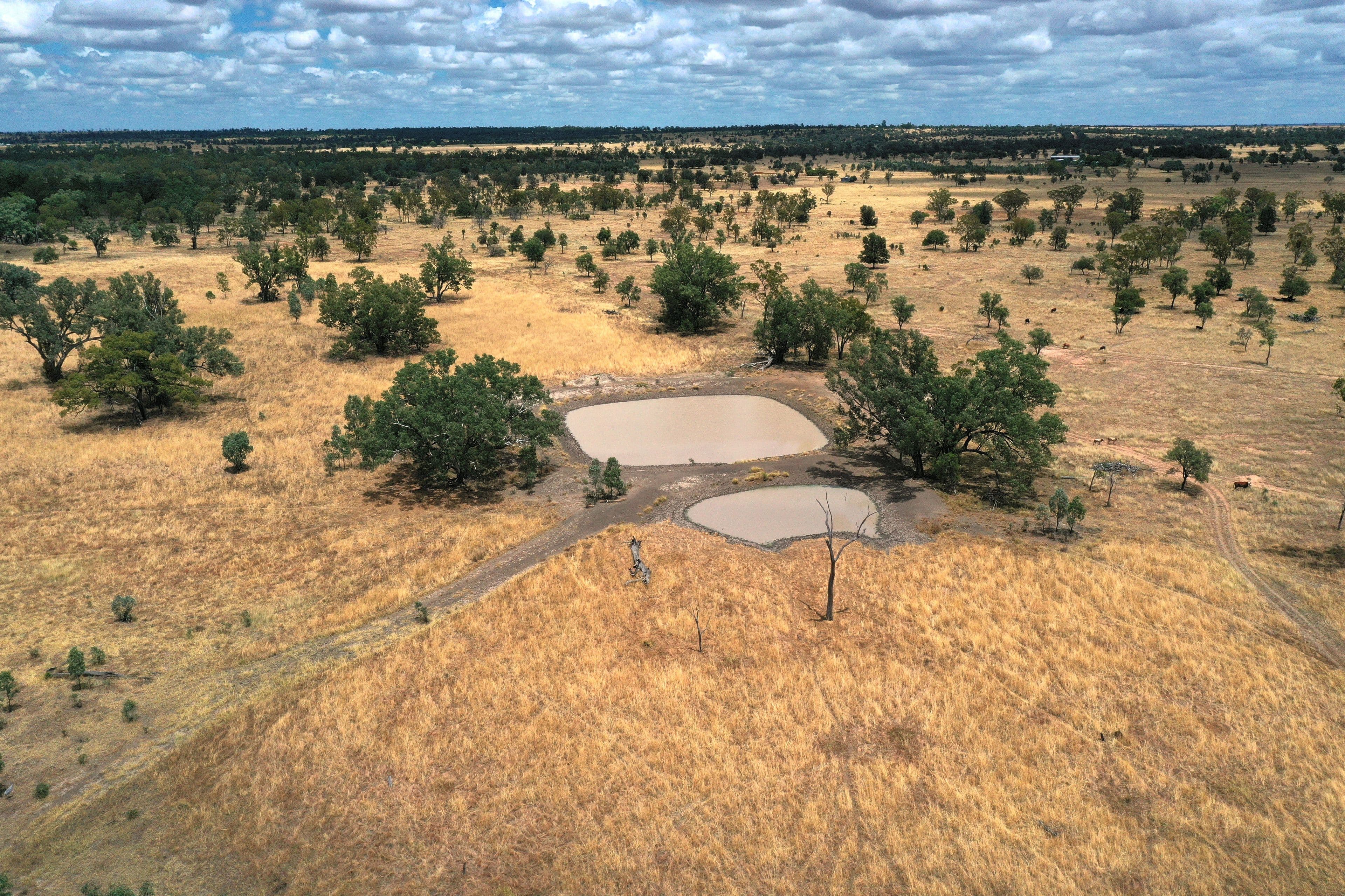 445 Six Mile Road, Roma QLD 4455, Roma - Thumbnail 4
