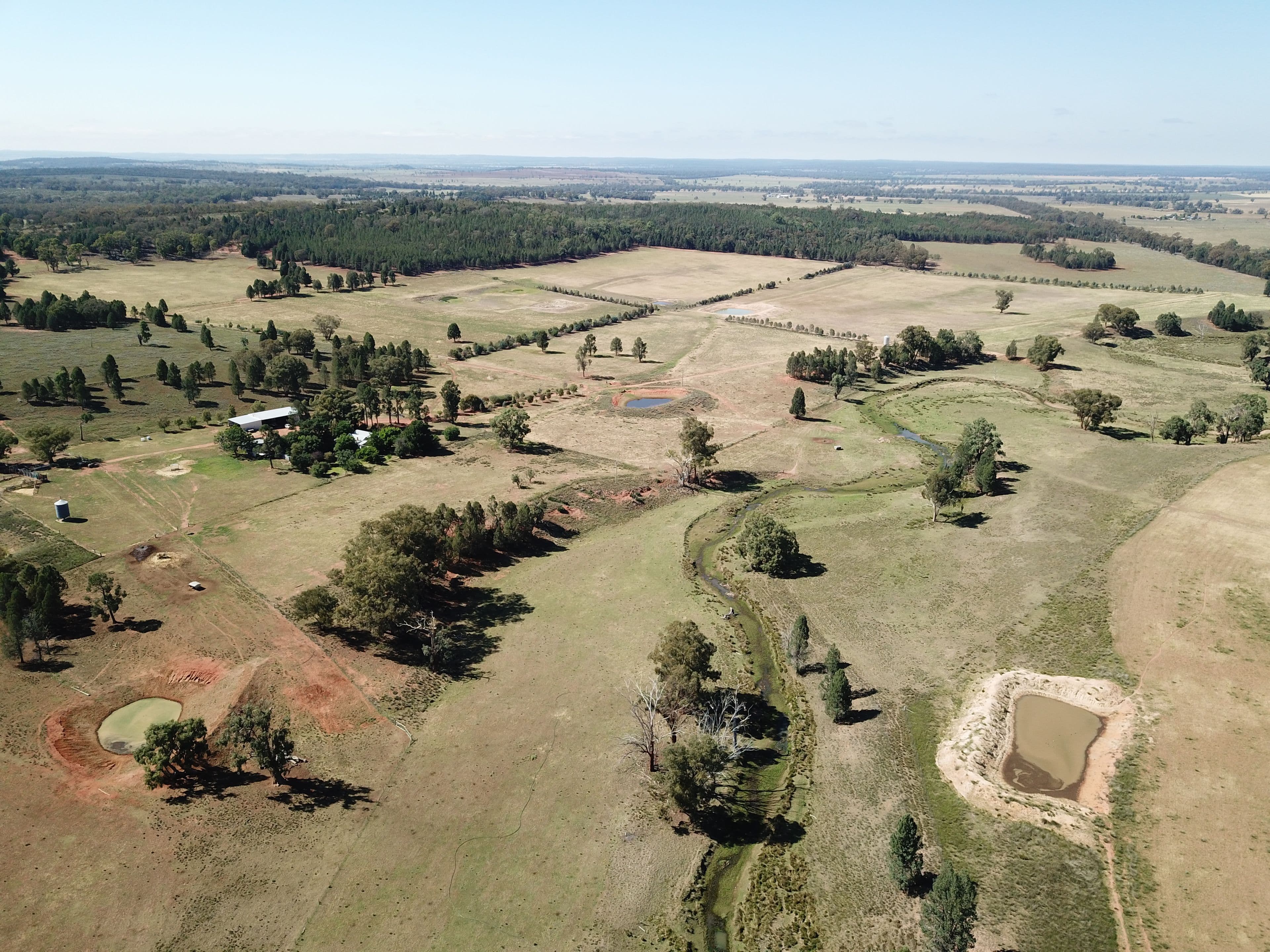 'Borambil' 912 Tooraweenah Road, MENDOORAN NSW 2842, Mendooran - Image 1