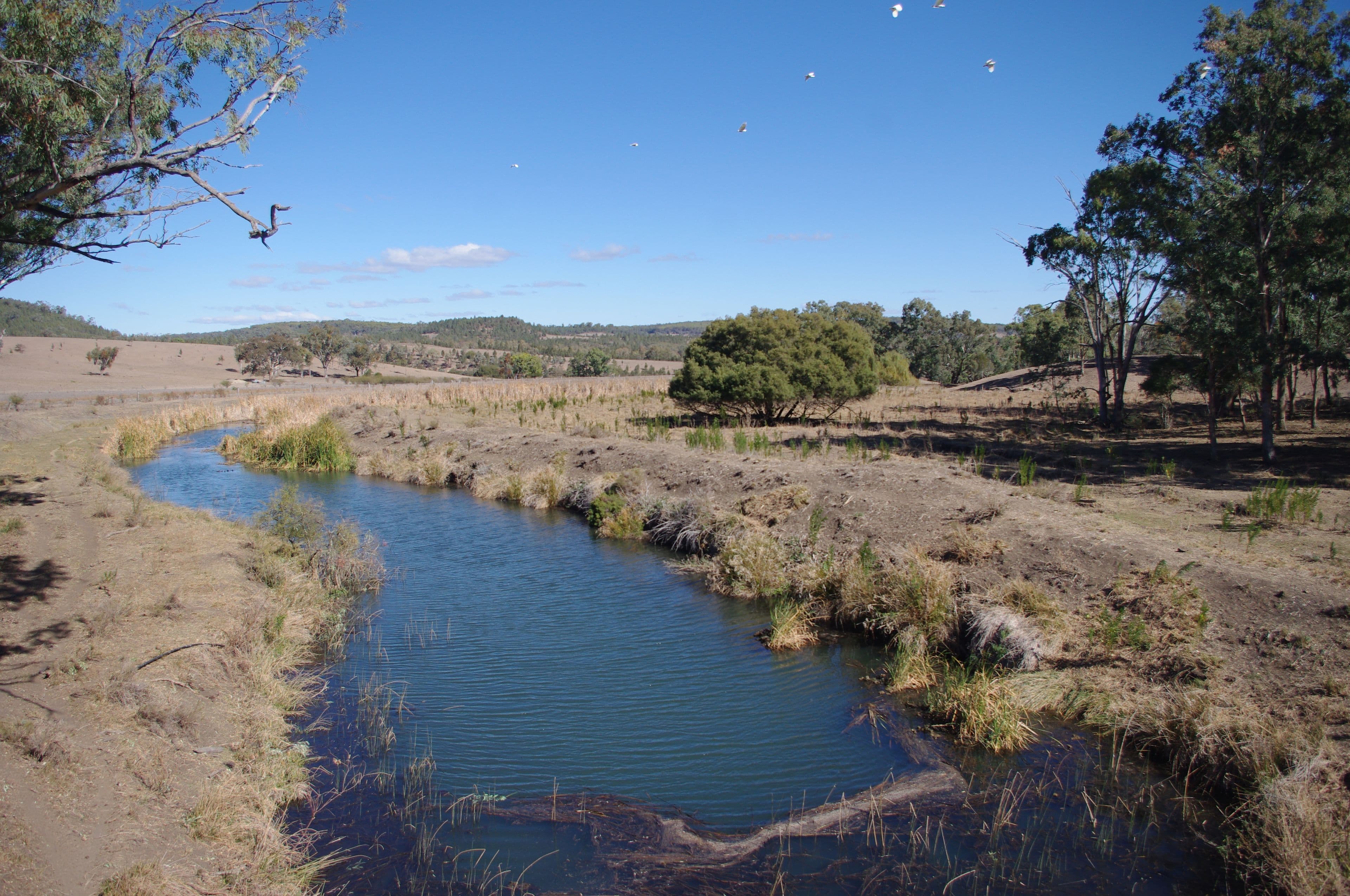 Inverell NSW 2360, Inverell - Thumbnail 2