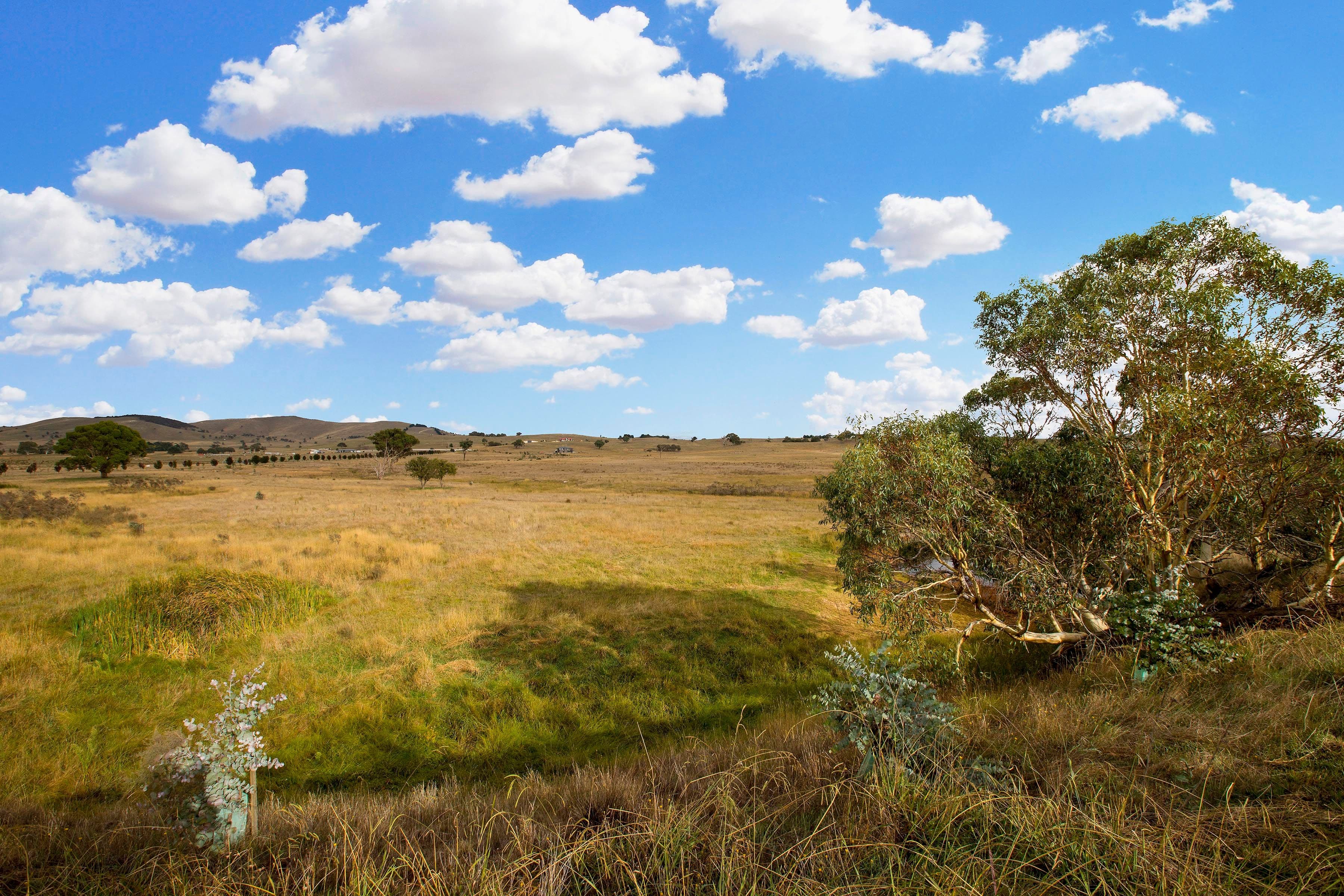 Lot 2, 72 Birril Close, Springrange NSW 2618, Springrange - Thumbnail 4