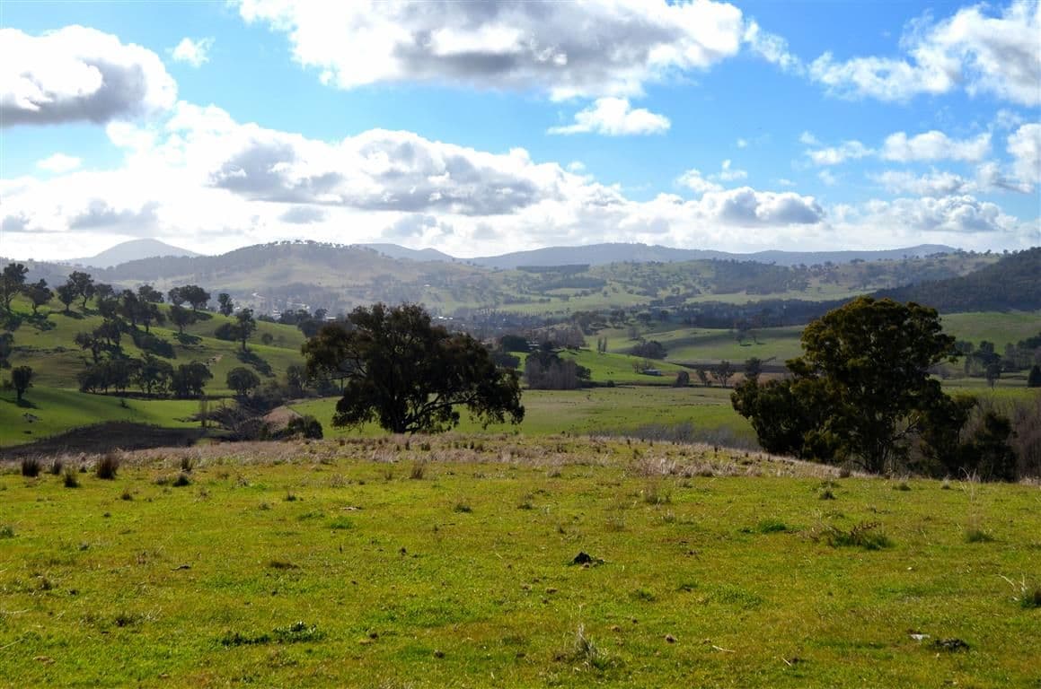 'Tanyard Creek' Stantons Road, ADELONG NSW 2729, Adelong - Thumbnail 3