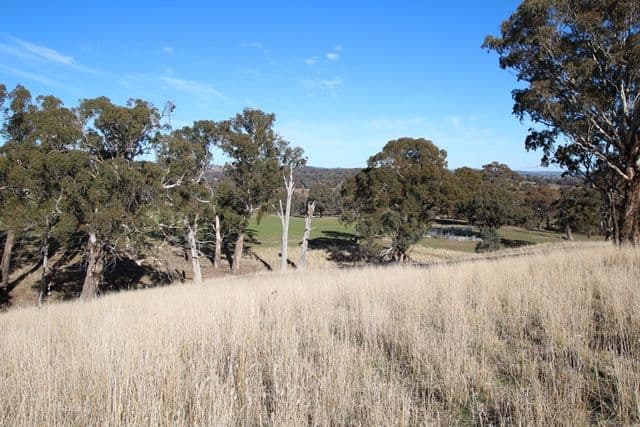 201 Gallymont Road, Mandurama NSW 2792, Mandurama - Thumbnail 4