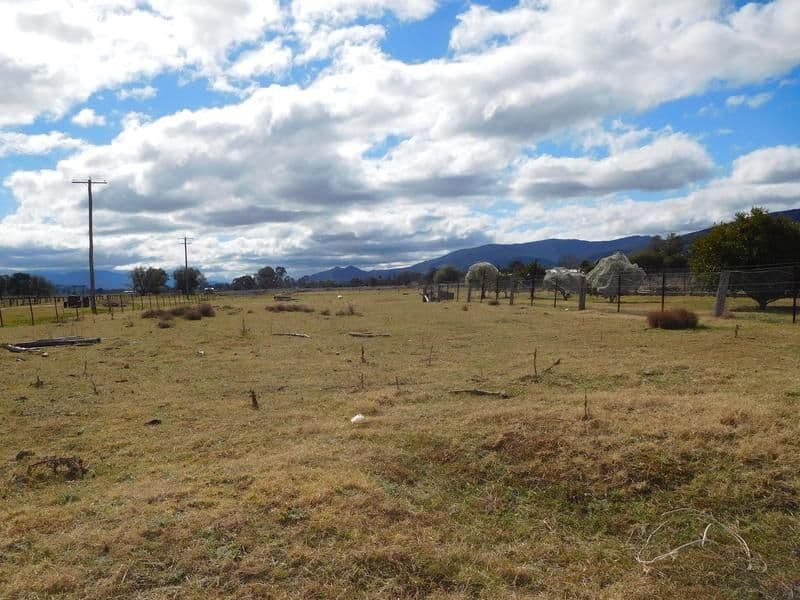 9 Mount Street, Scone NSW 2337, Scone - Thumbnail 4