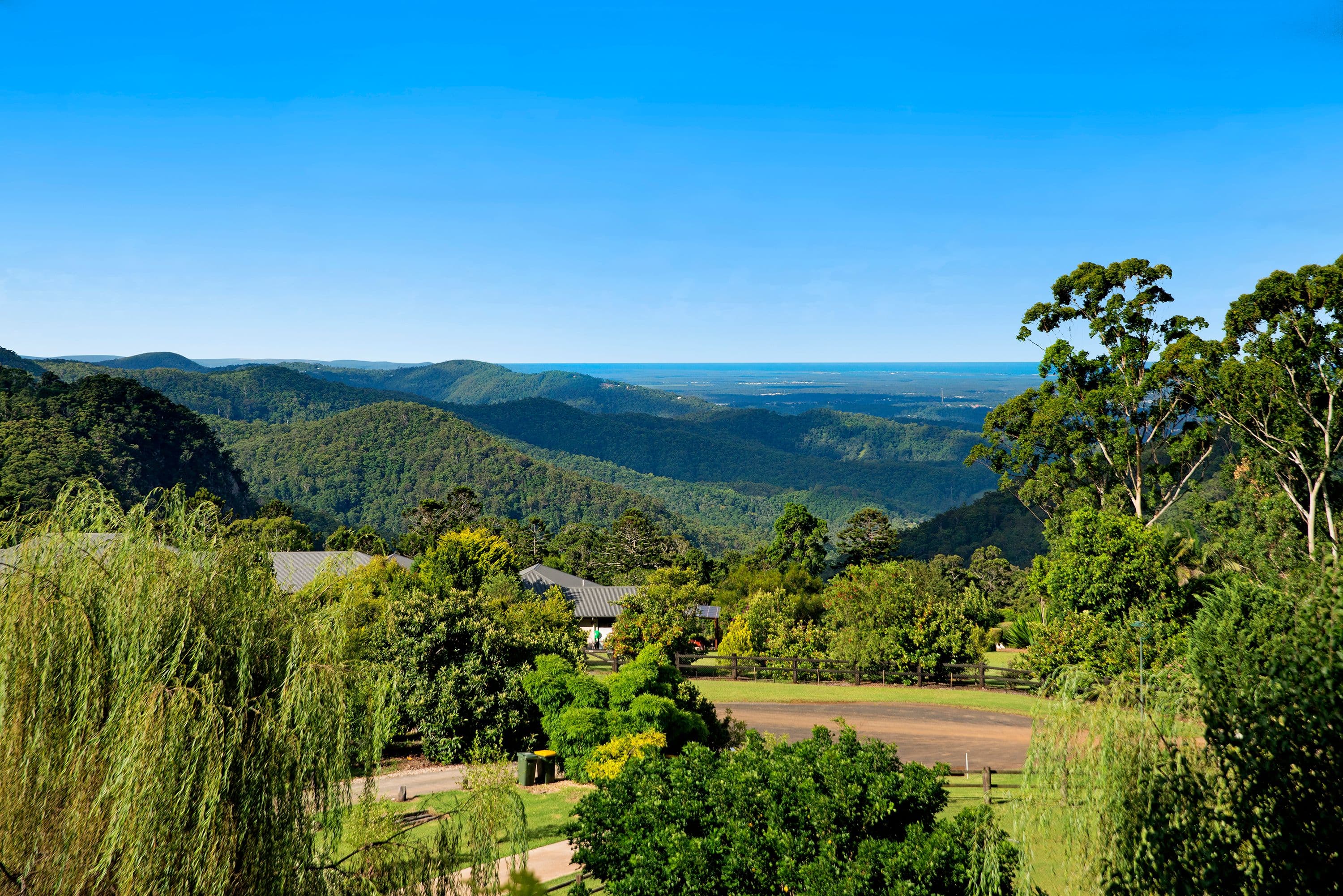 107 The Shelf Road, Tamborine Mountain QLD 4272, Tamborine Mountain - Thumbnail 4