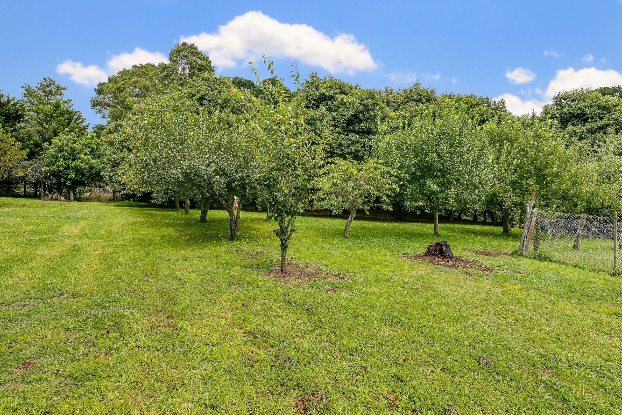 11 Olsson Road, Neerim North VIC 3832, Neerim North - Thumbnail 2