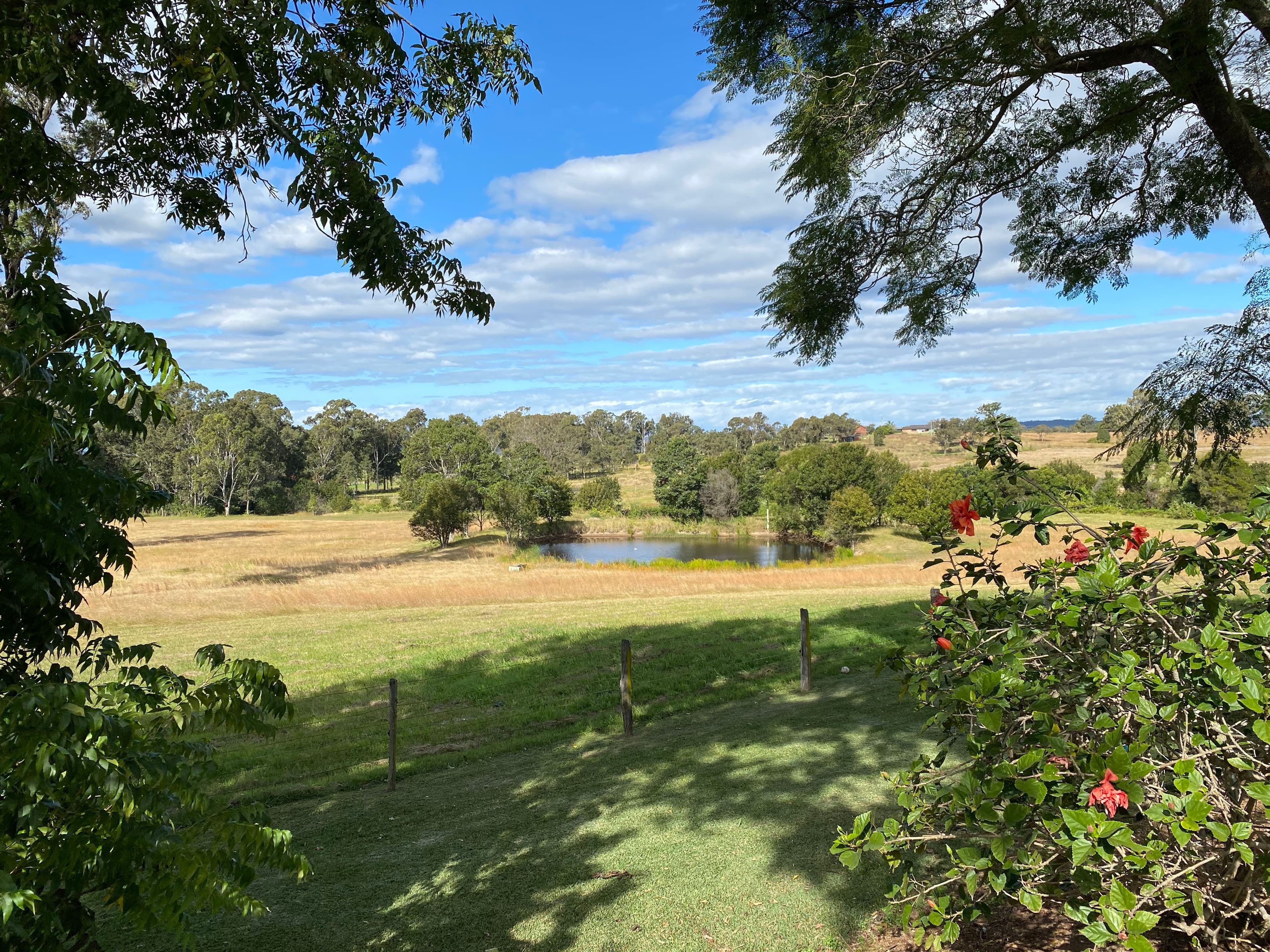 588 Tinonee Road, Mondrook NSW 2430, Mondrook - Thumbnail 3
