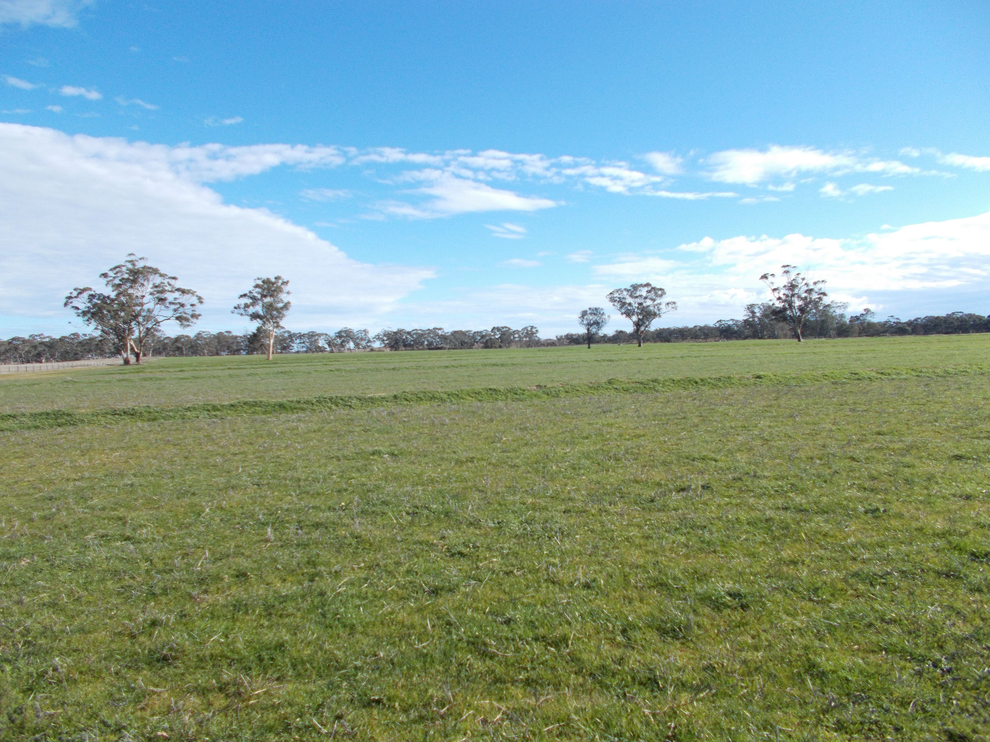 650 Cooper Road, BORDERTOWN SOUTH SA 5268, Bordertown South - Thumbnail 4