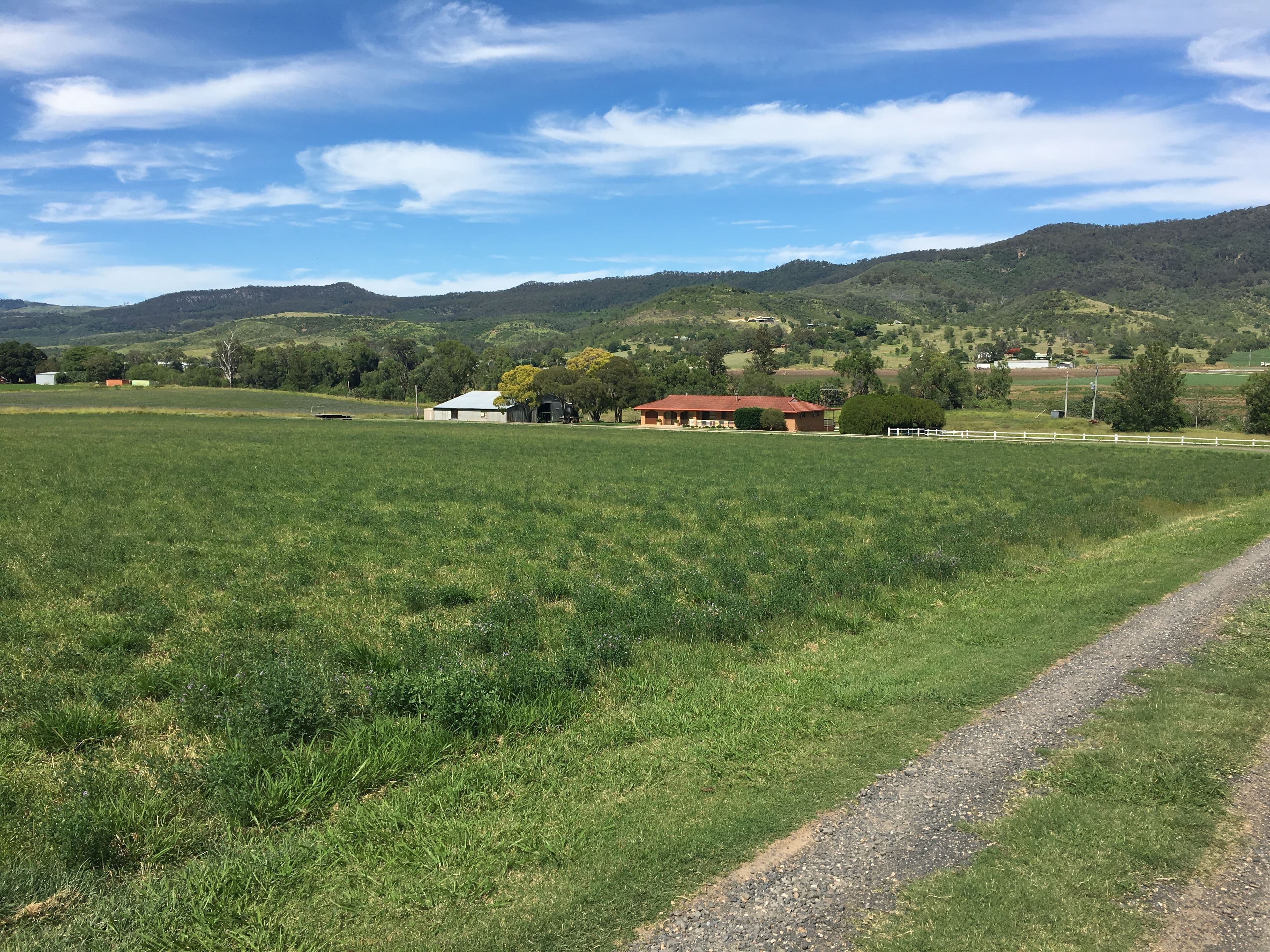 356 Ingoldsby Road, Upper Tenthill QLD 4343, Upper Tenthill - Thumbnail 4