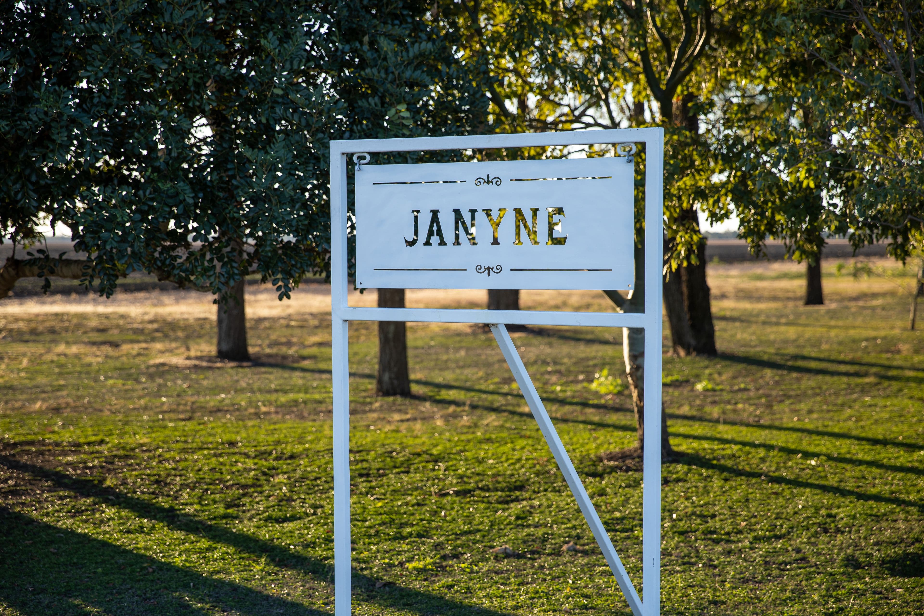 "Janyne" Millmerran-Leyburn Road, Yandilla QLD 4352, Yandilla - Image 1