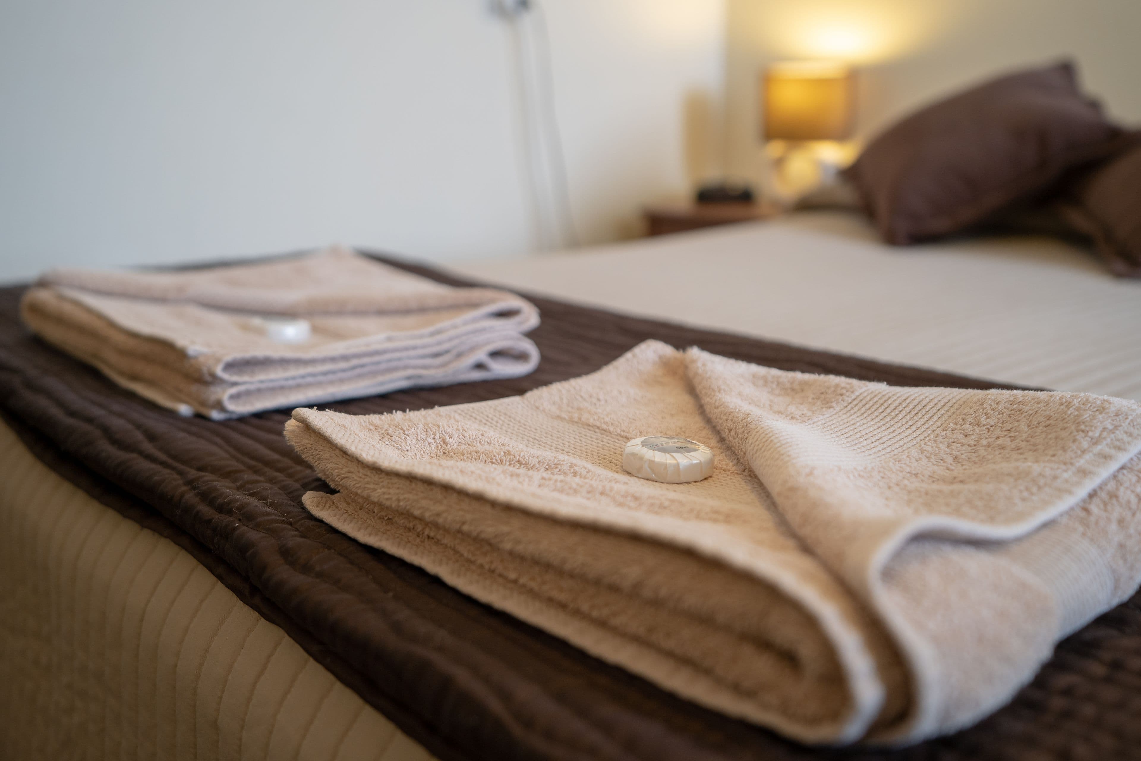 5 Main Street, Cudal NSW 2864, Cudal - Thumbnail 6