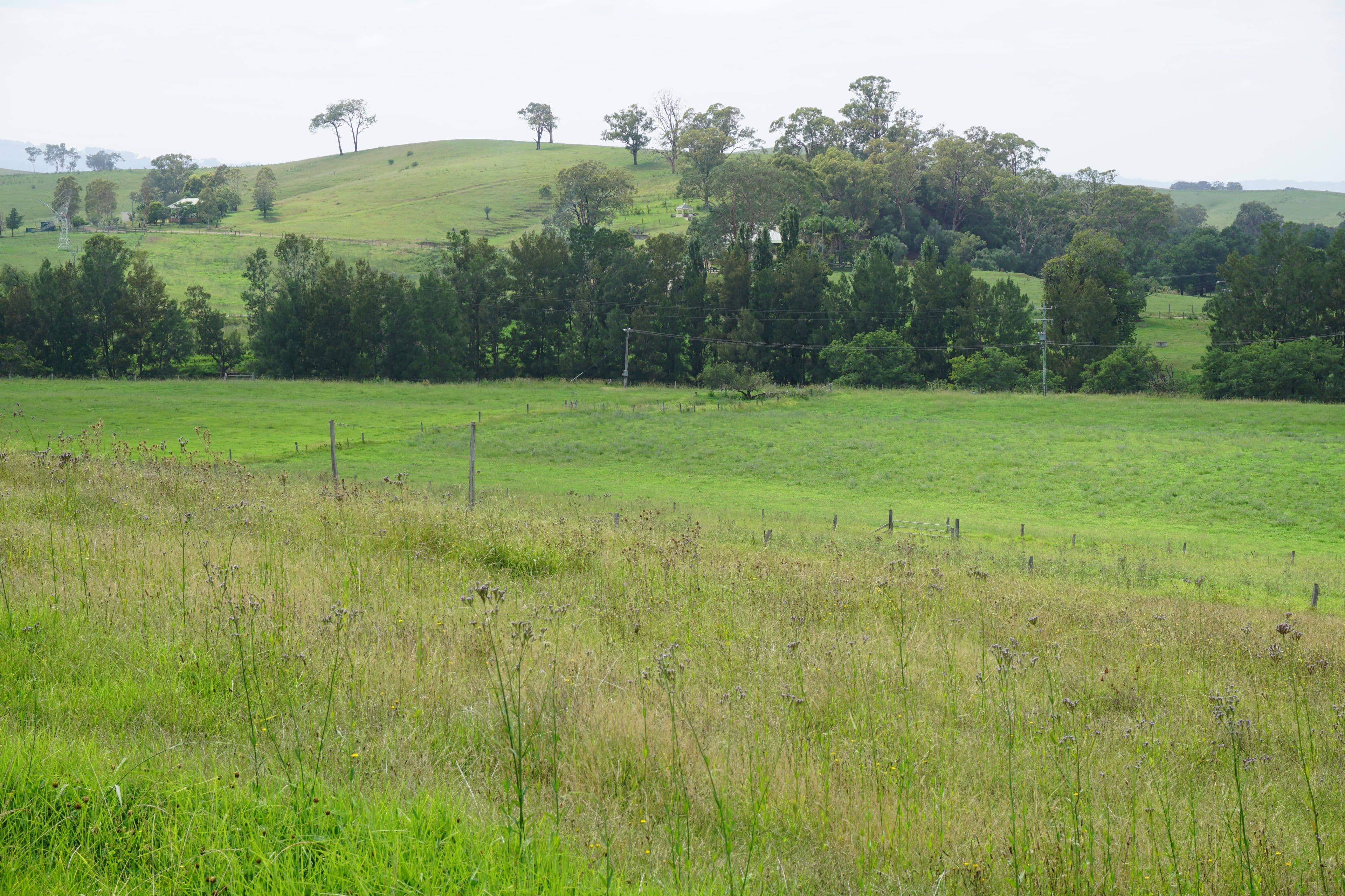 2484 Glendonbrook Road, Gresford NSW 2311, Gresford - Thumbnail 5