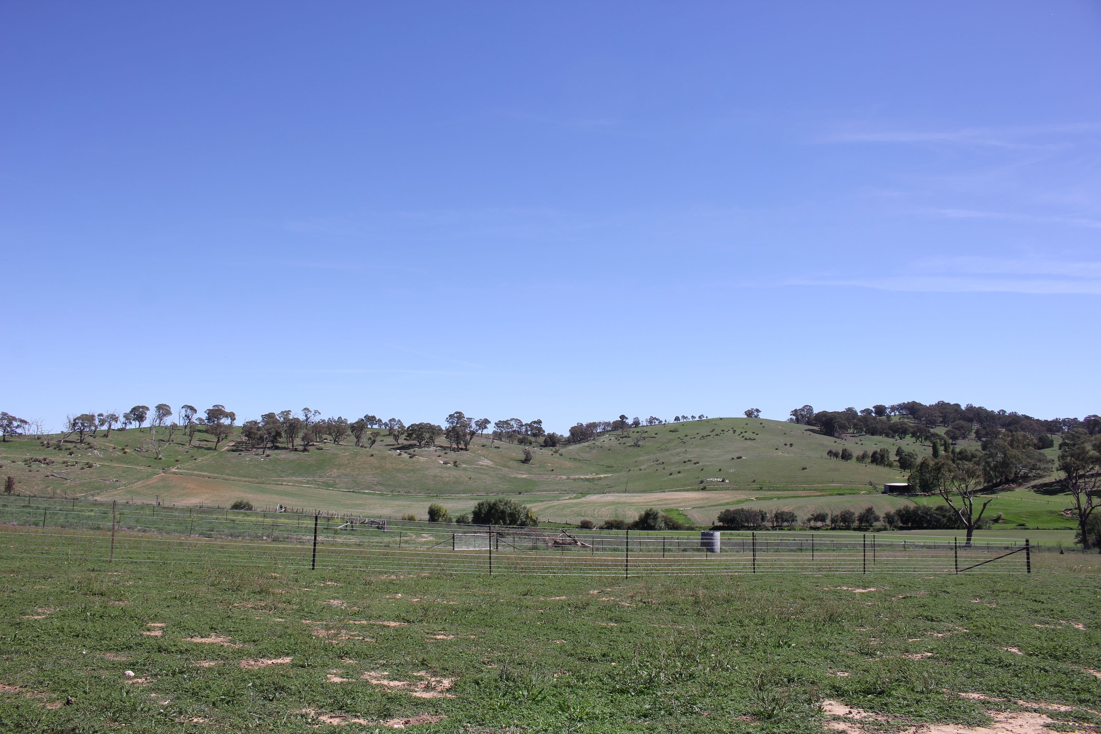 Rockley NSW 2795, Rockley - Thumbnail 2