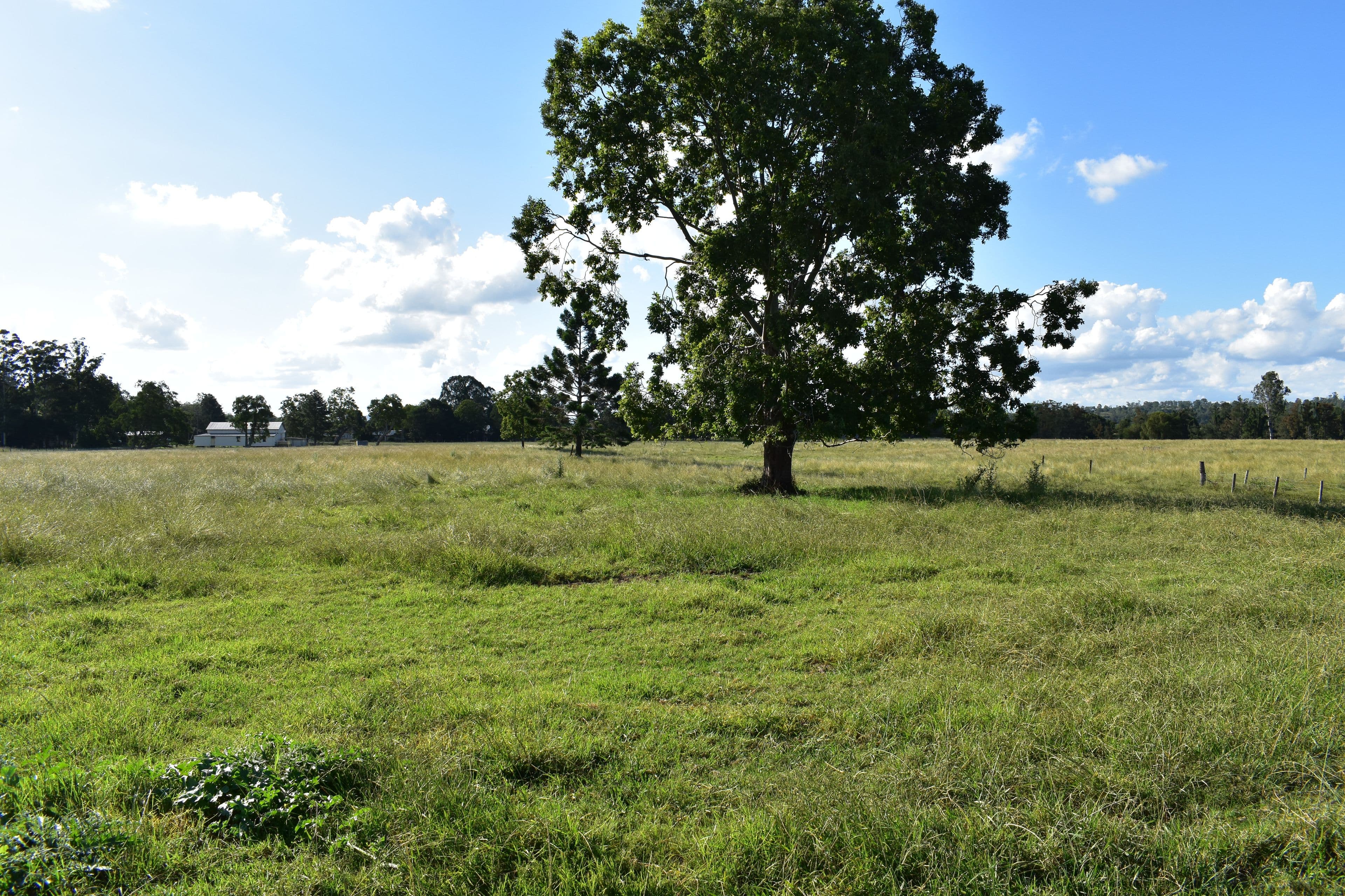 680 McDonalds Bridge Road, Dyraaba NSW 2470, Dyraaba - Thumbnail 7