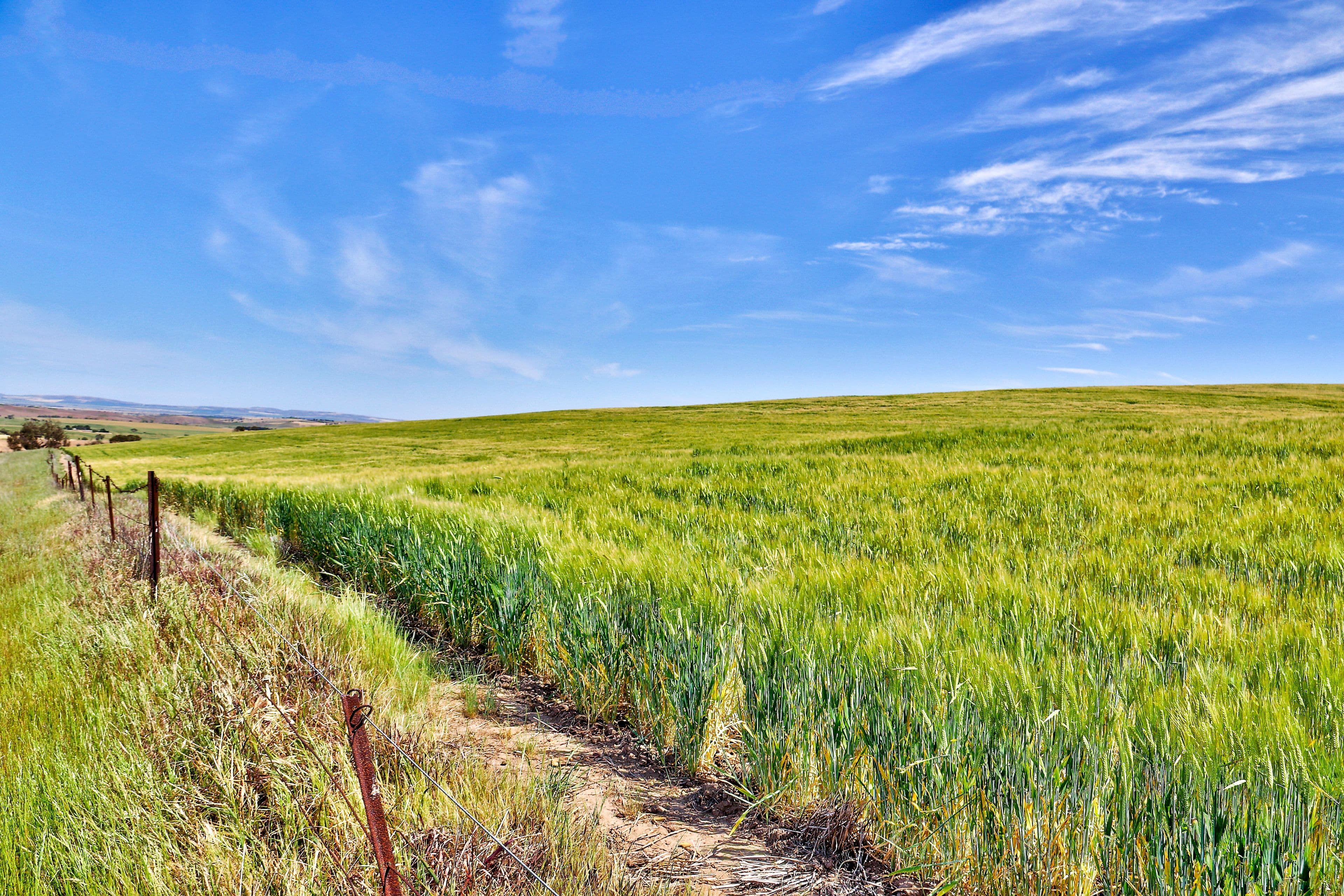 "Twin Valleys" Yacka-Andrews Road, Yacka SA 5470, Yacka - Image 1