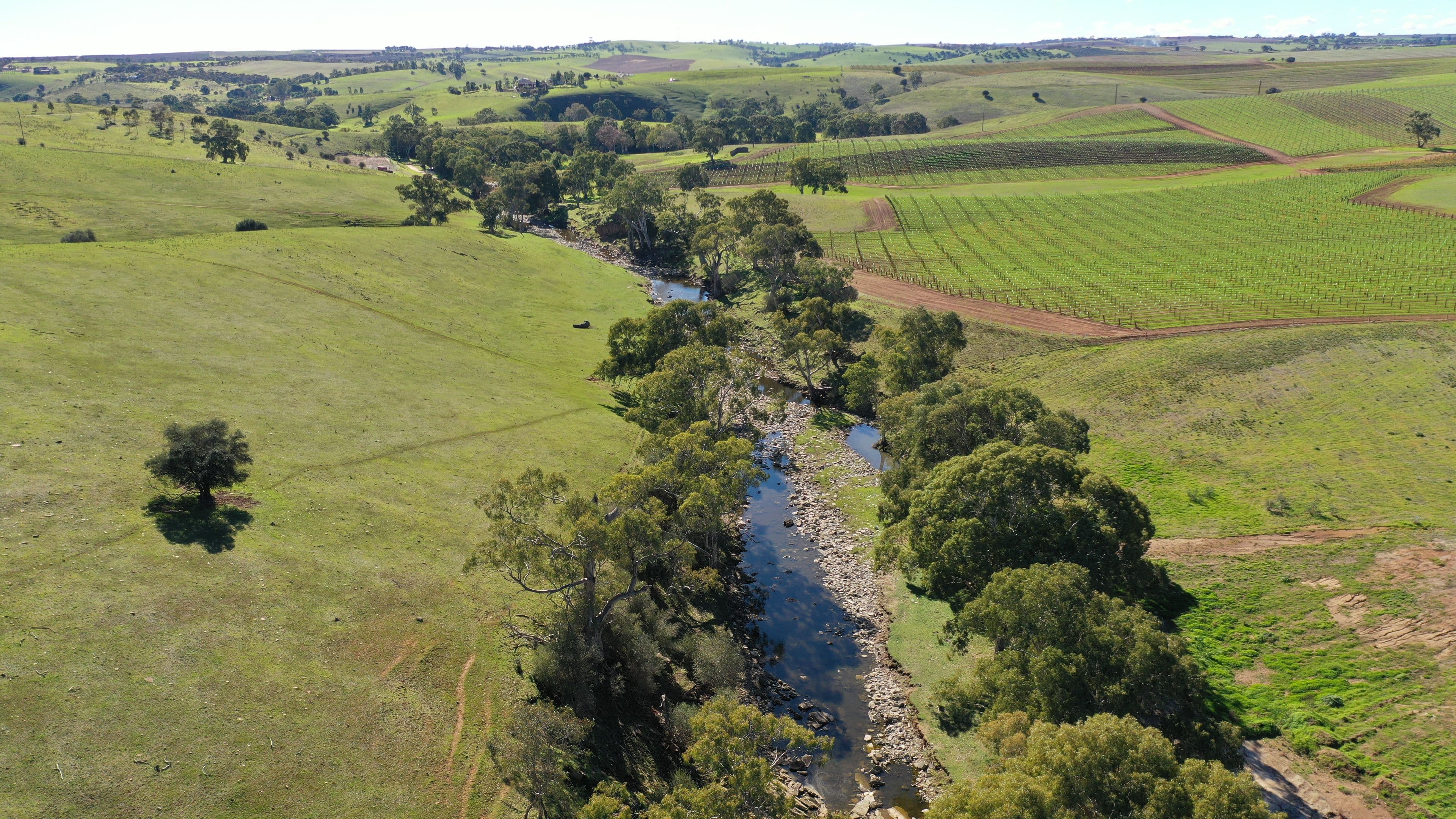'Rosedale' - Lot 90 Rosedale Scenic Road, Lyndoch SA 5351, Lyndoch - Thumbnail 2