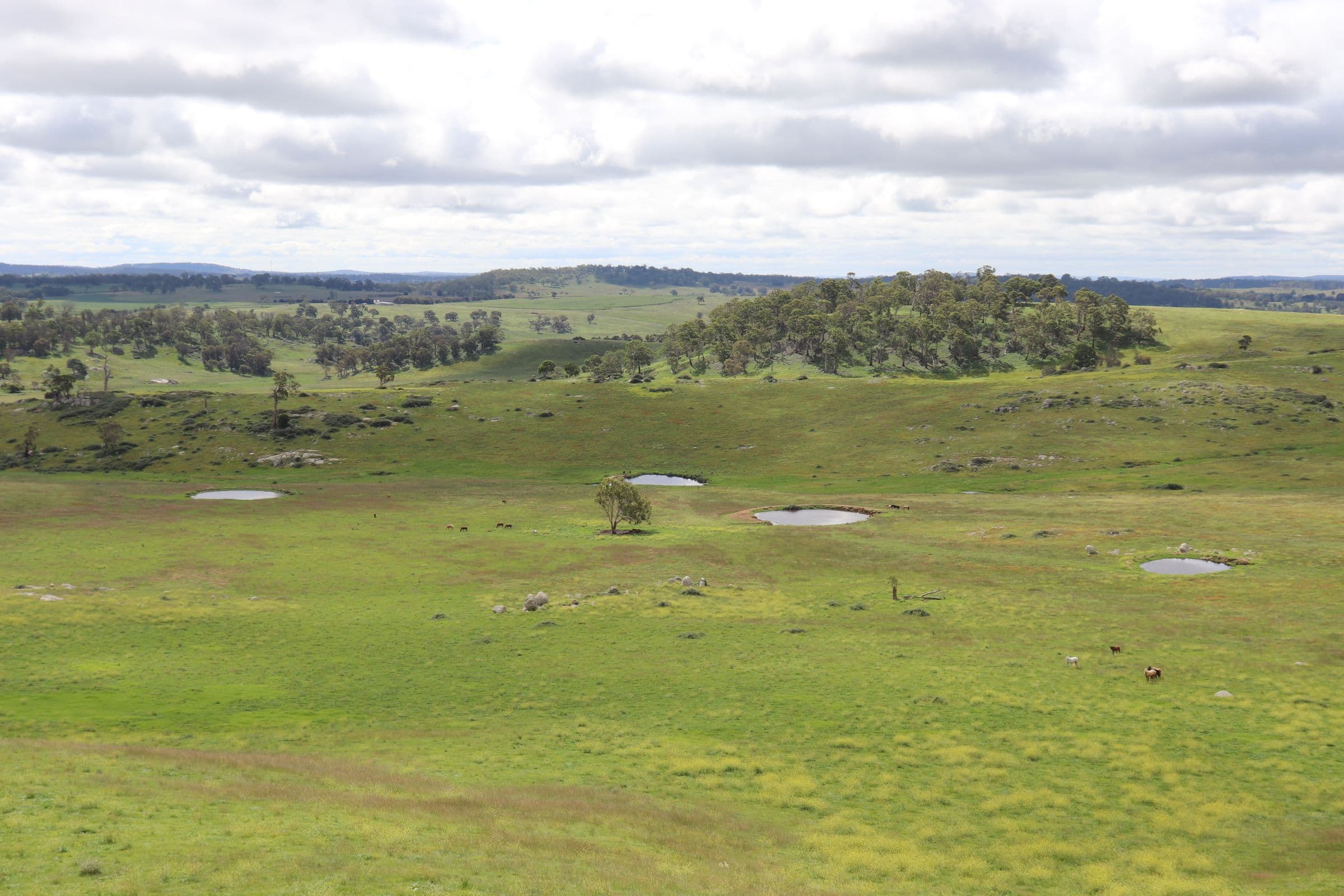 1279 Glen Legh Road, Glen Innes NSW 2370, Glen Innes - Thumbnail 2