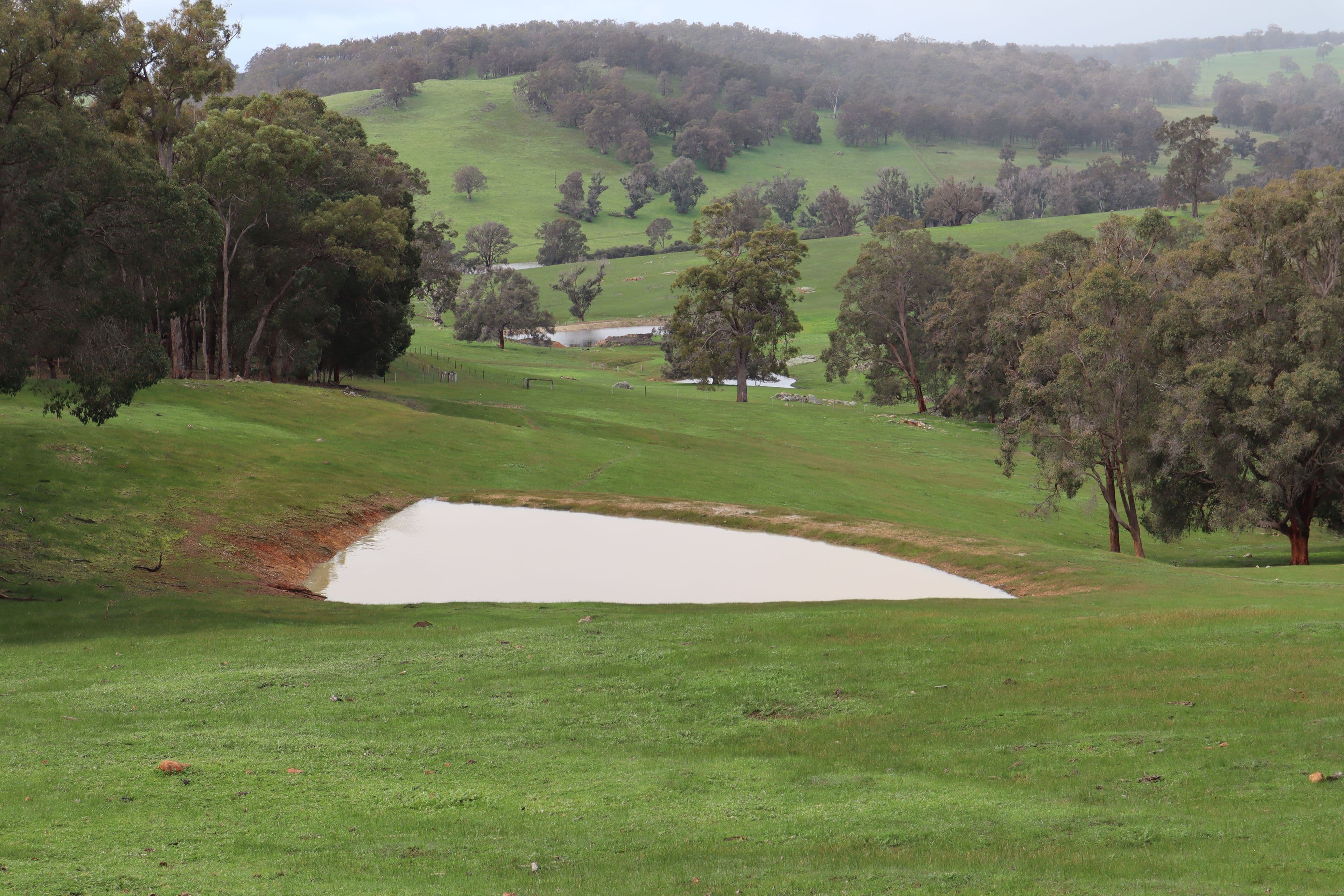 258 Hamilton Road, Winnejup WA 6255, Winnejup - Thumbnail 2