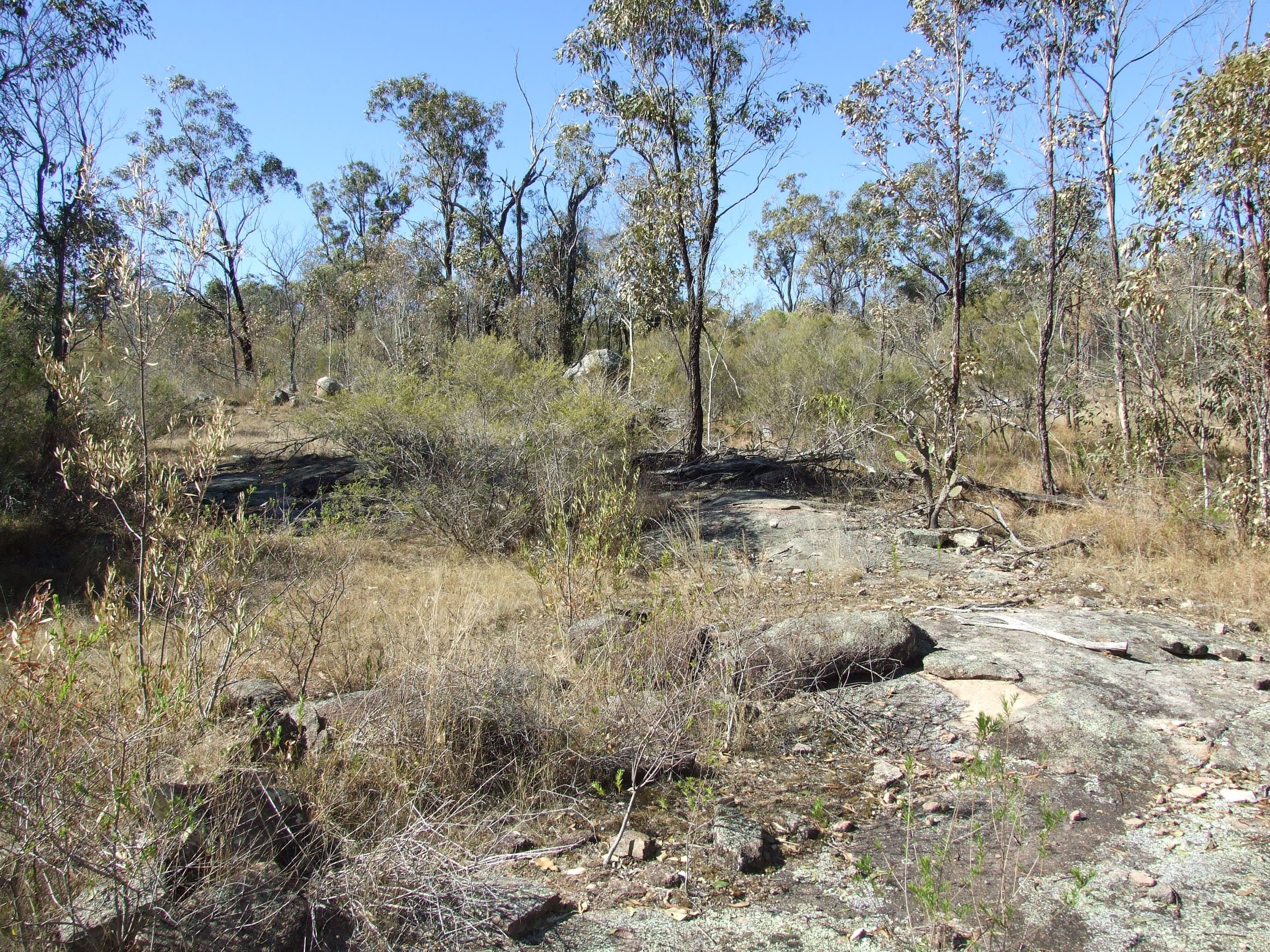 0 Three Mile Road, Crows Nest QLD 4355, Crows Nest - Thumbnail 5