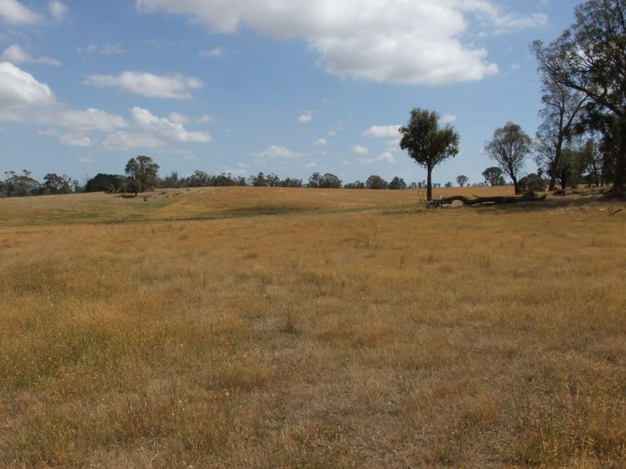 Neville NSW 2799, Neville - Thumbnail 5