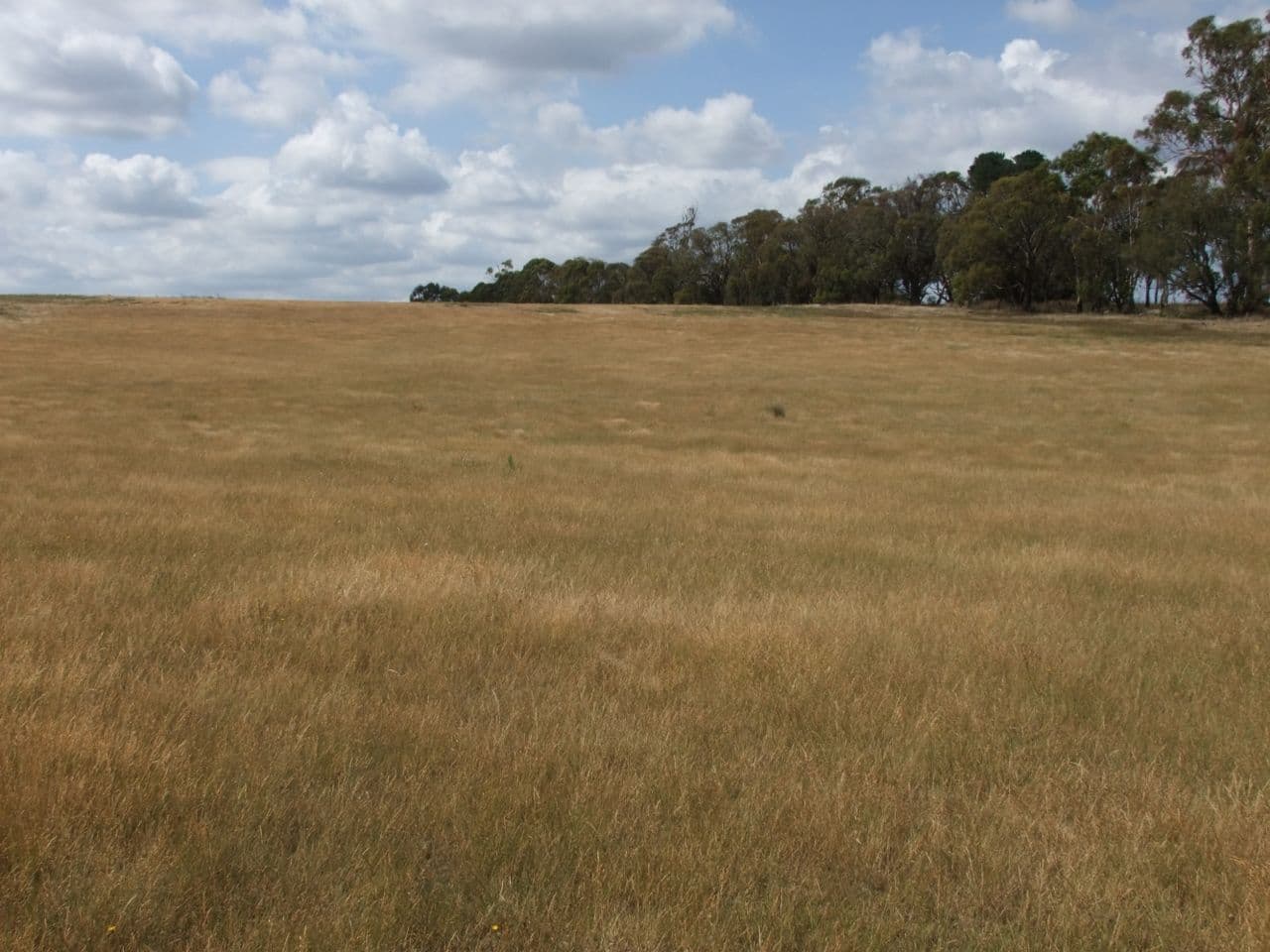 Neville NSW 2799, Neville - Thumbnail 2