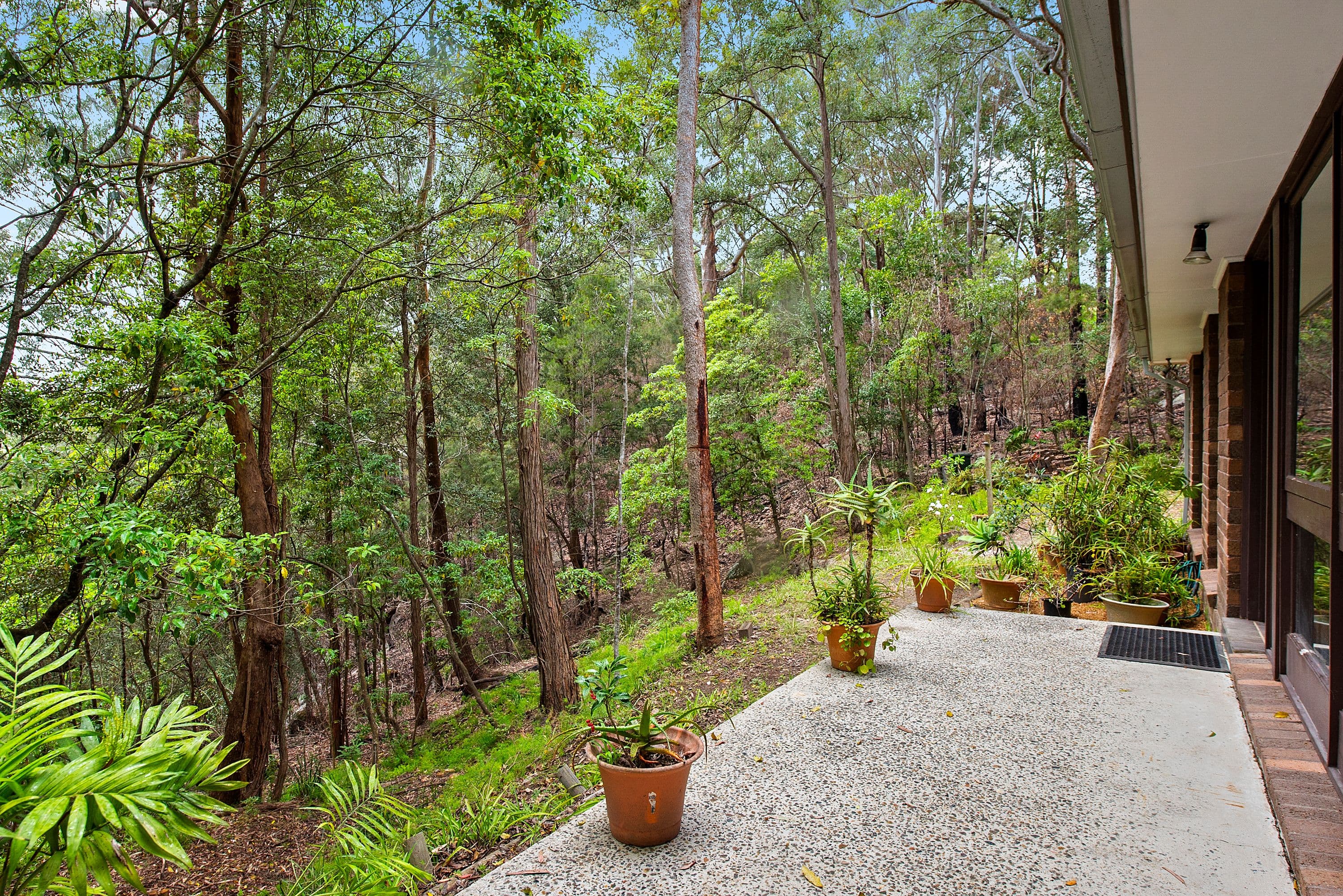 136 Pretoria Parade, Hornsby - Thumbnail 4