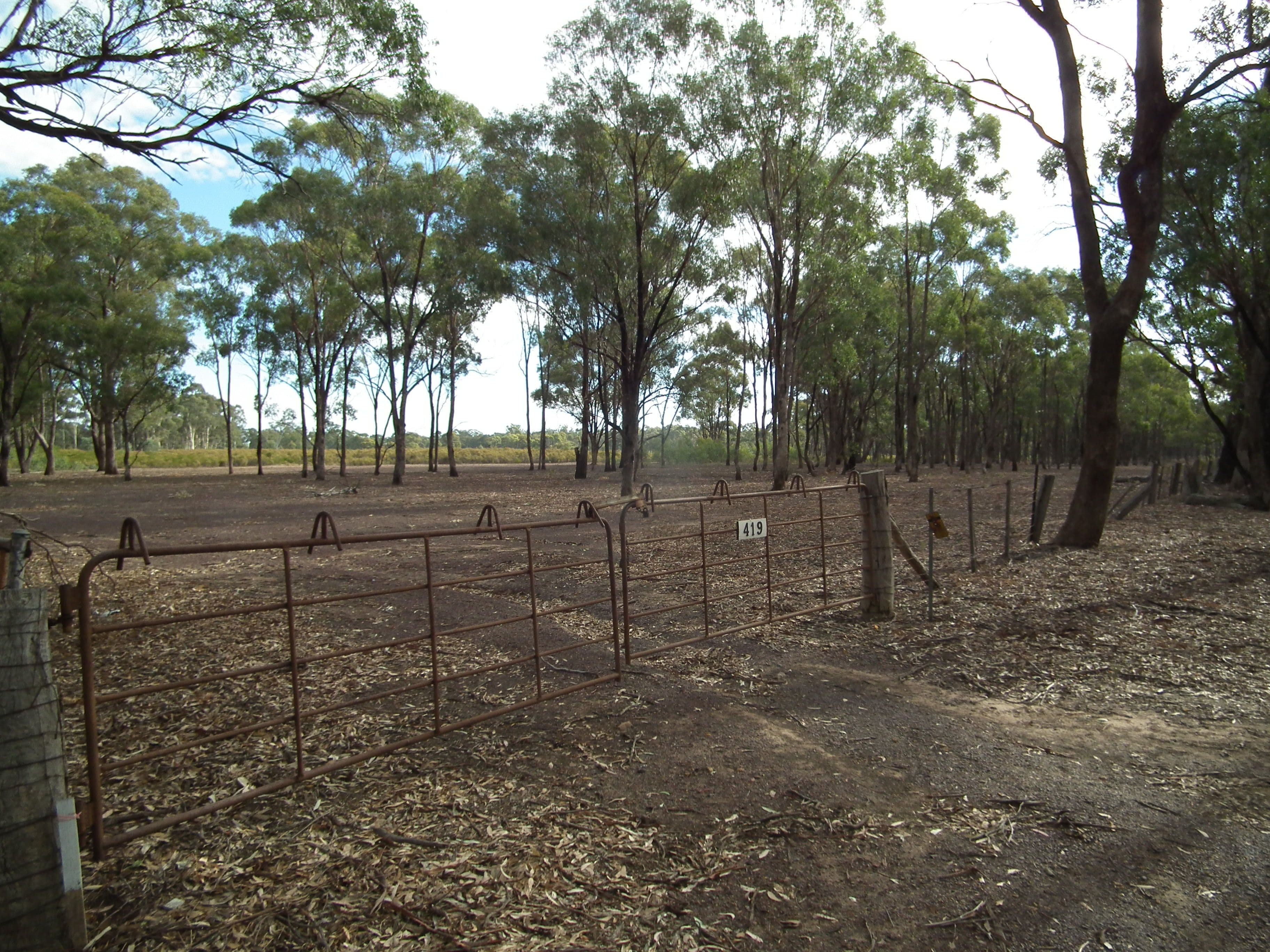 419 Buffalo Swamp Road, Whroo VIC 3612, Whroo - Thumbnail 4