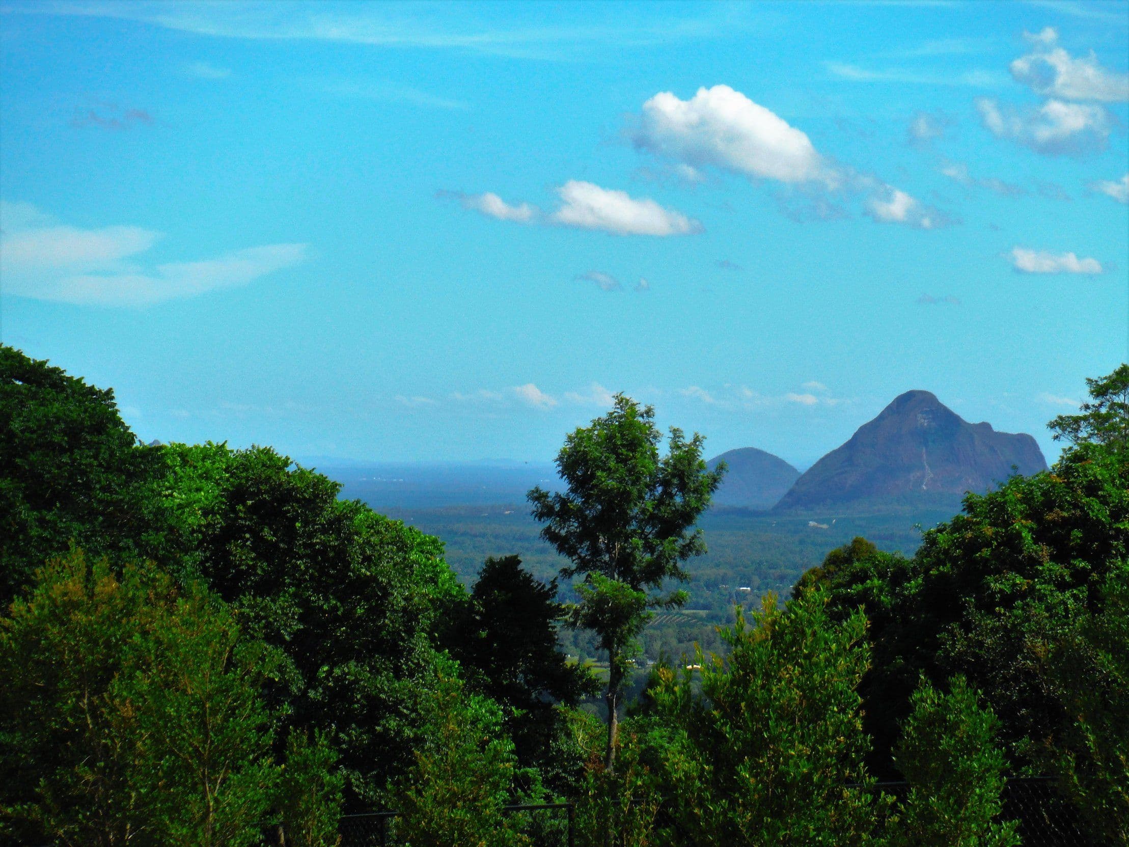 429 Mountain View Road, Maleny QLD 4552, Maleny - Thumbnail 2