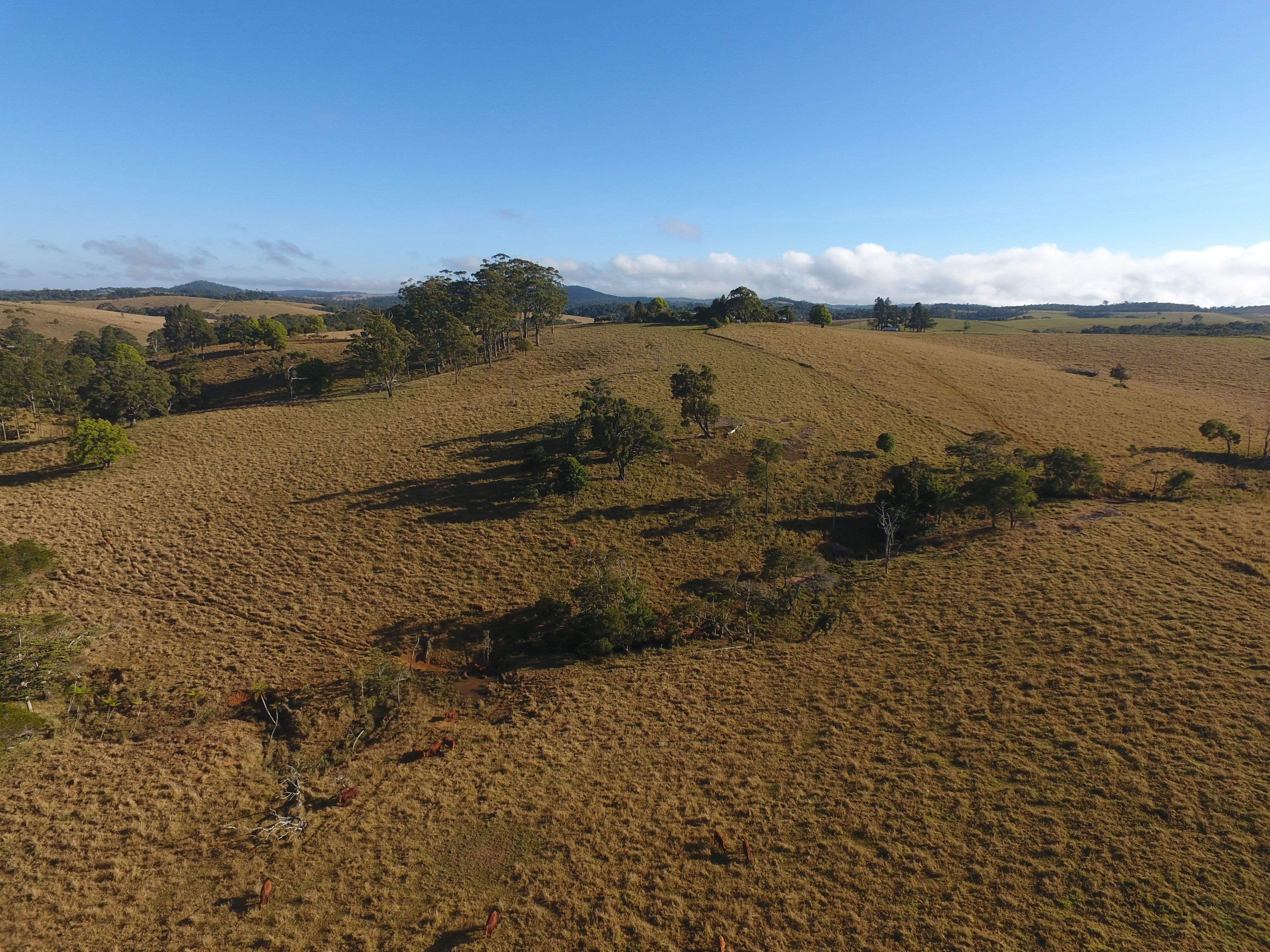 Evelyn QLD 4888, Evelyn - Thumbnail 7