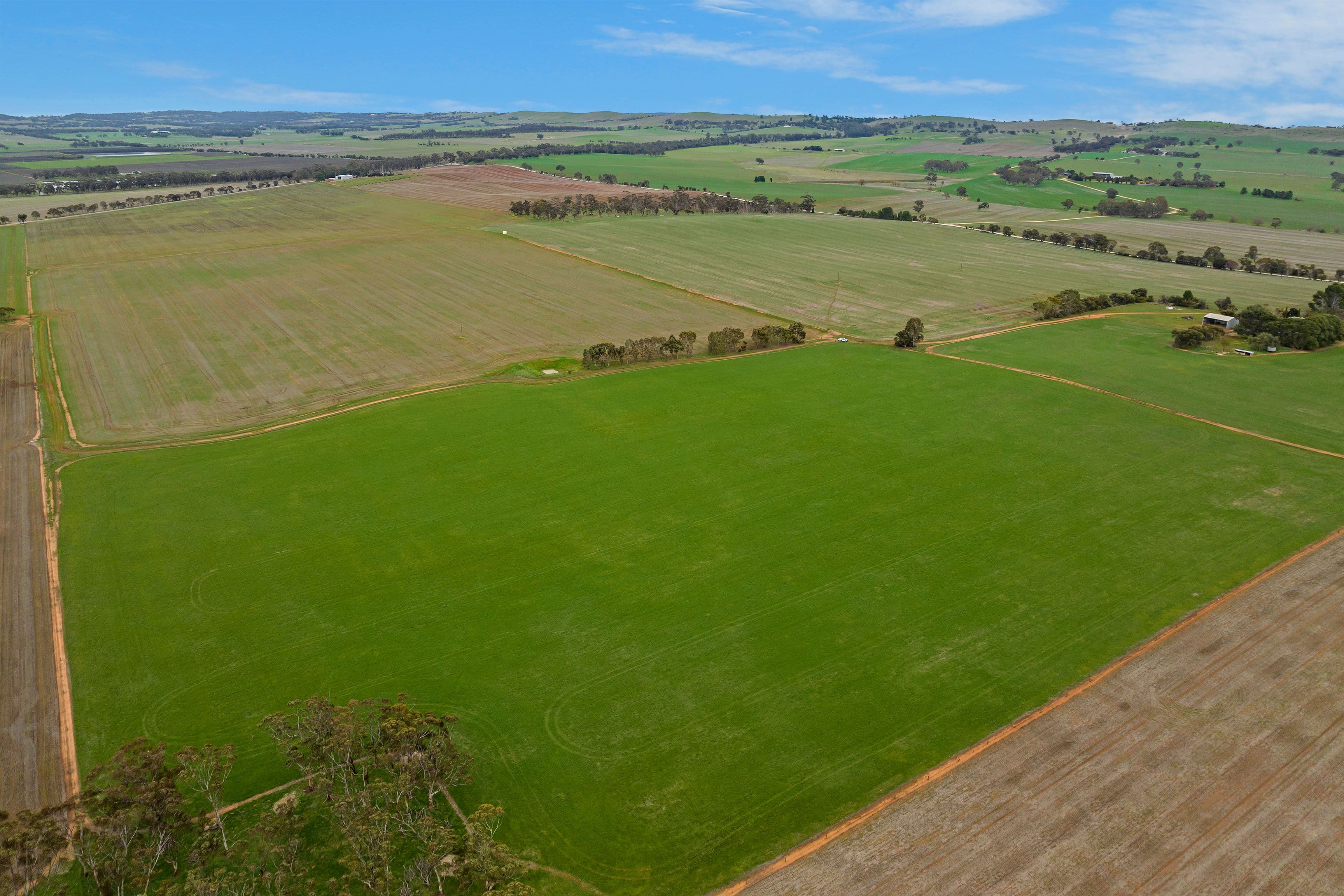 Lot 2 'East' 206 Lally Road, Hill River SA 5453, Hill River - Thumbnail 6