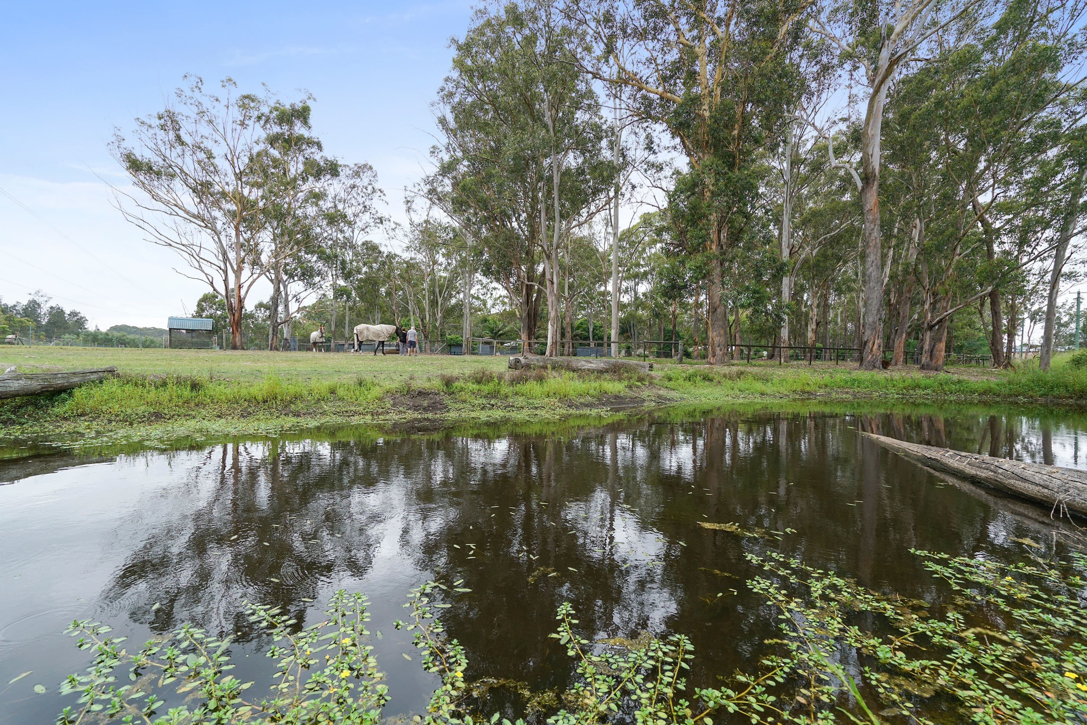 214 Freemans Drive, Morisset NSW 2264, Morisset - Thumbnail 4