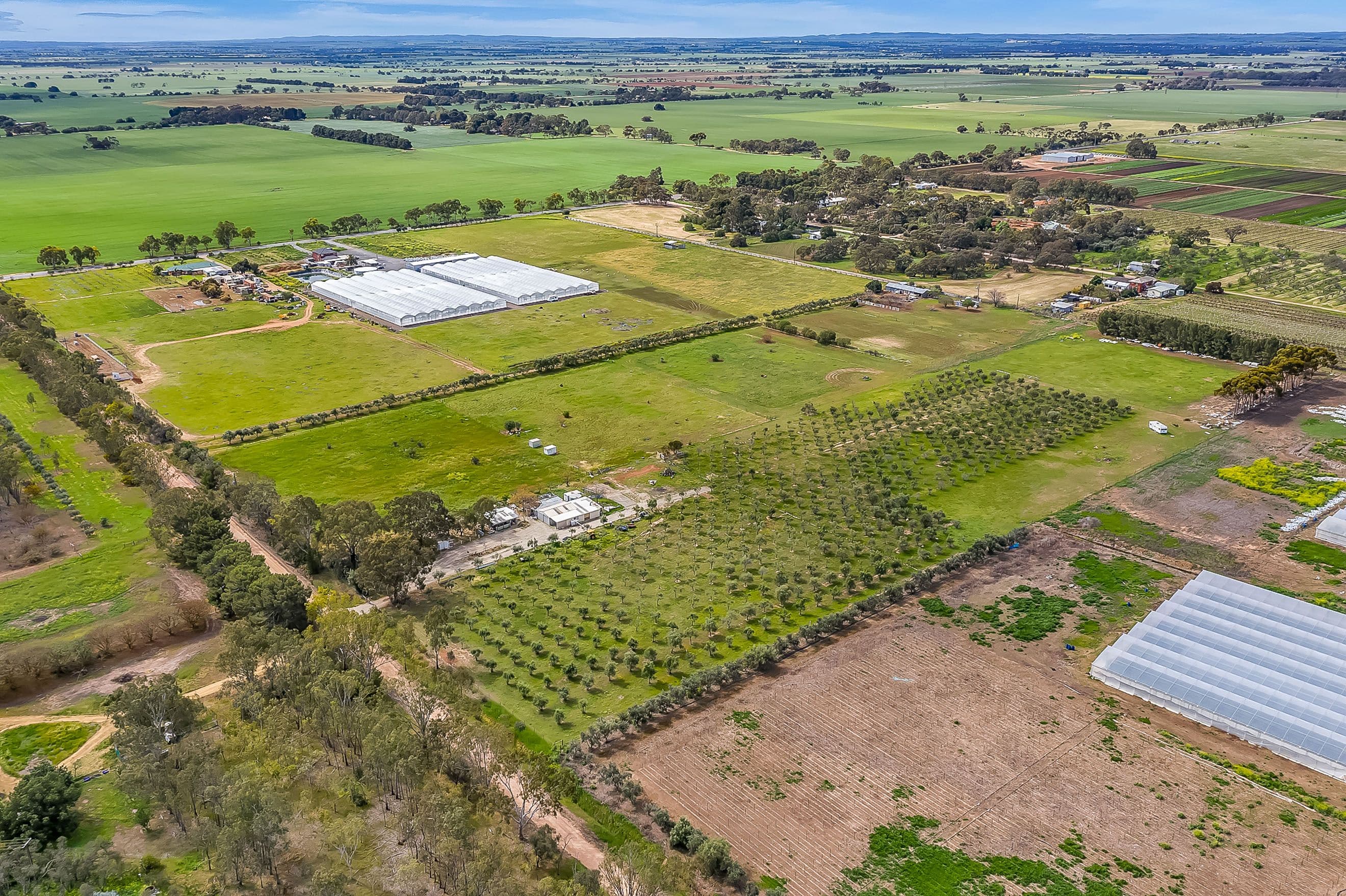 1659 Boundary Road, Gawler River SA 5118, Gawler River - Thumbnail 5