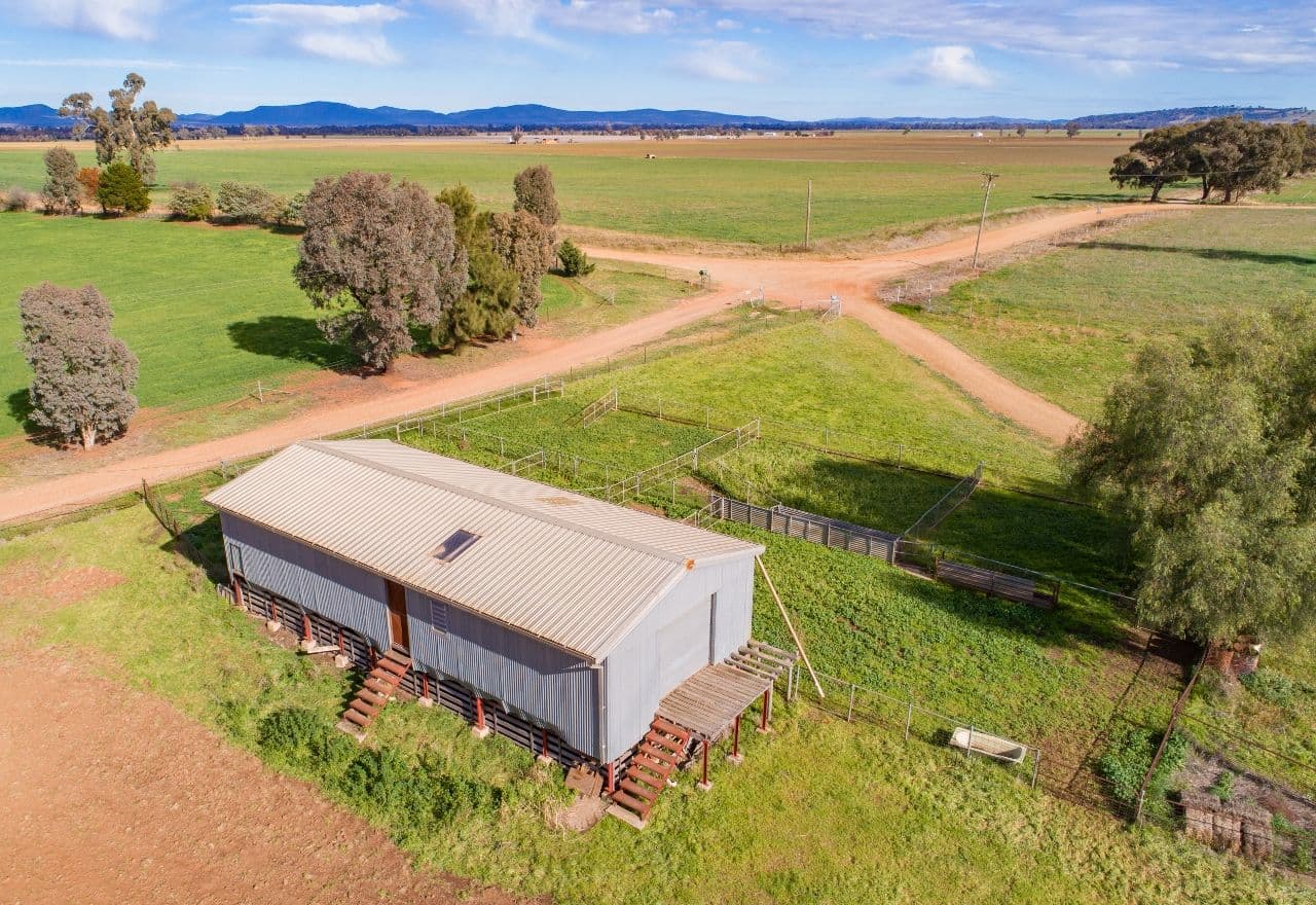 166 Settlement Bridge Road, Canowindra NSW 2804, Canowindra - Thumbnail 8
