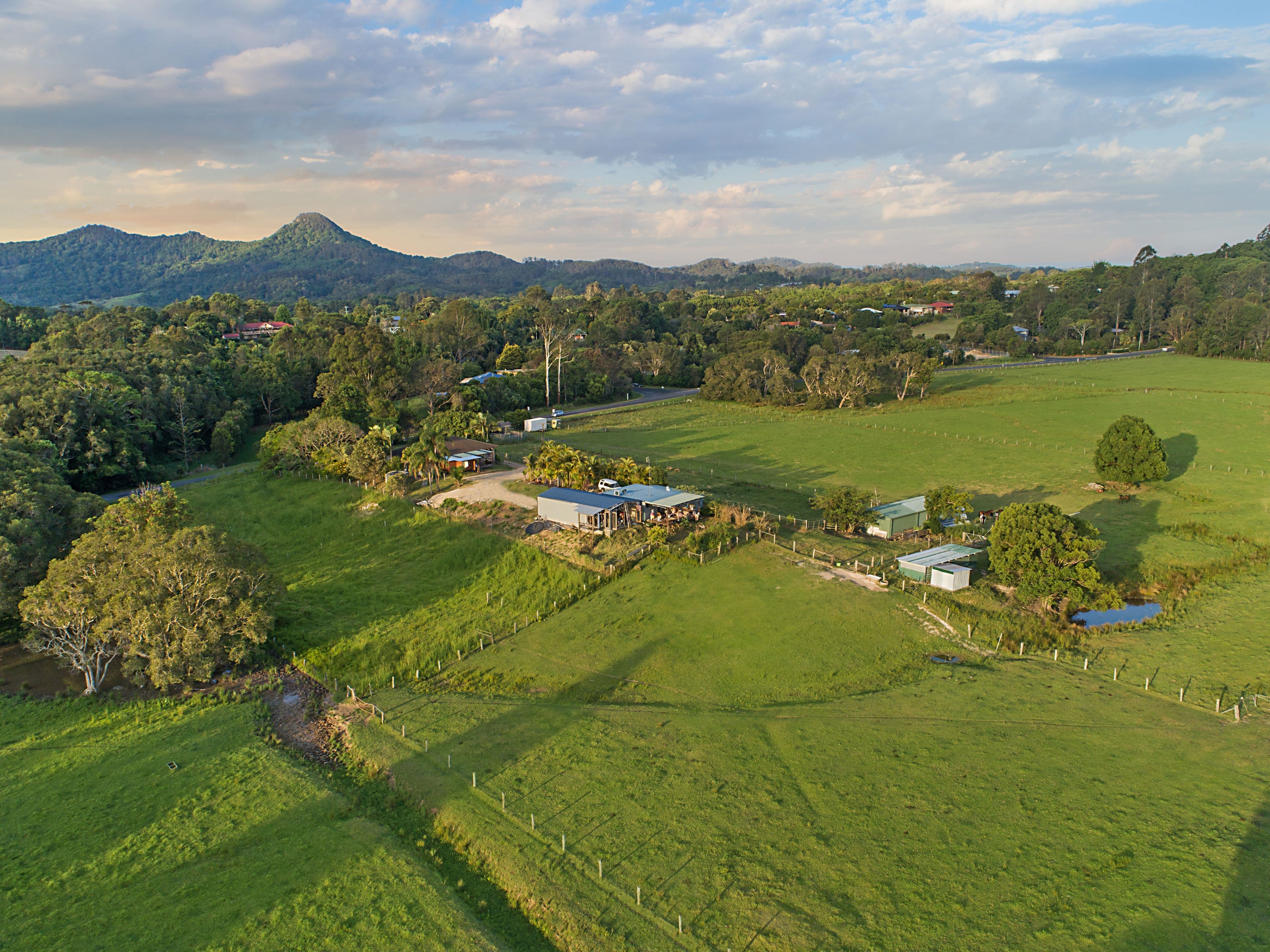 113 Left Bank Road, Mullumbimby NSW 2482, Mullumbimby - Thumbnail 2