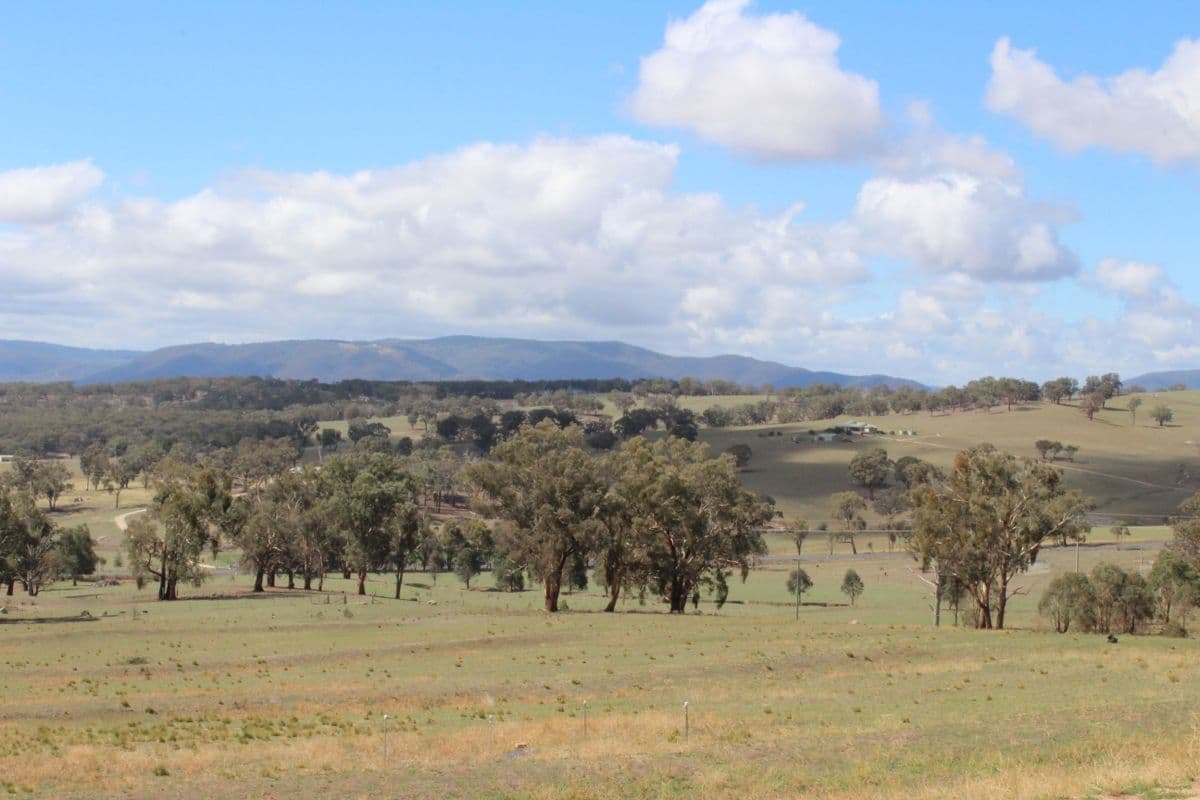 1823 O'Connell Road, O'Connell NSW 2795, O'Connell - Thumbnail 4