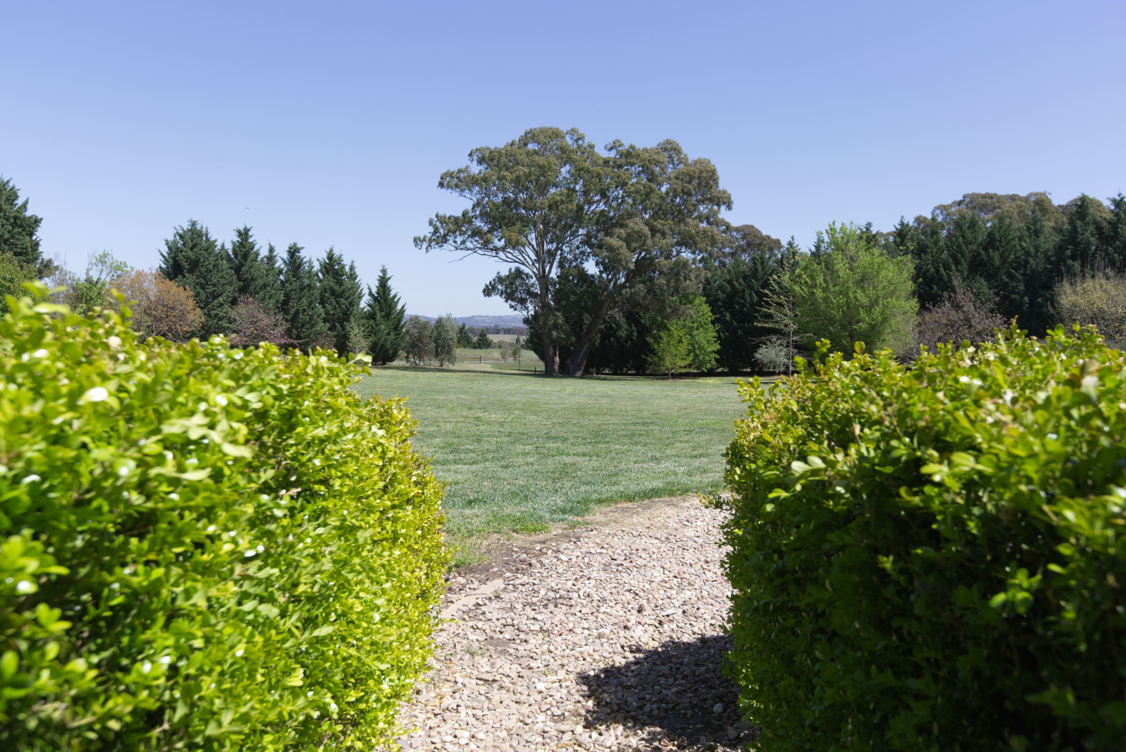 134 Pucketts Lane, Goulburn NSW 2580, Goulburn - Thumbnail 3