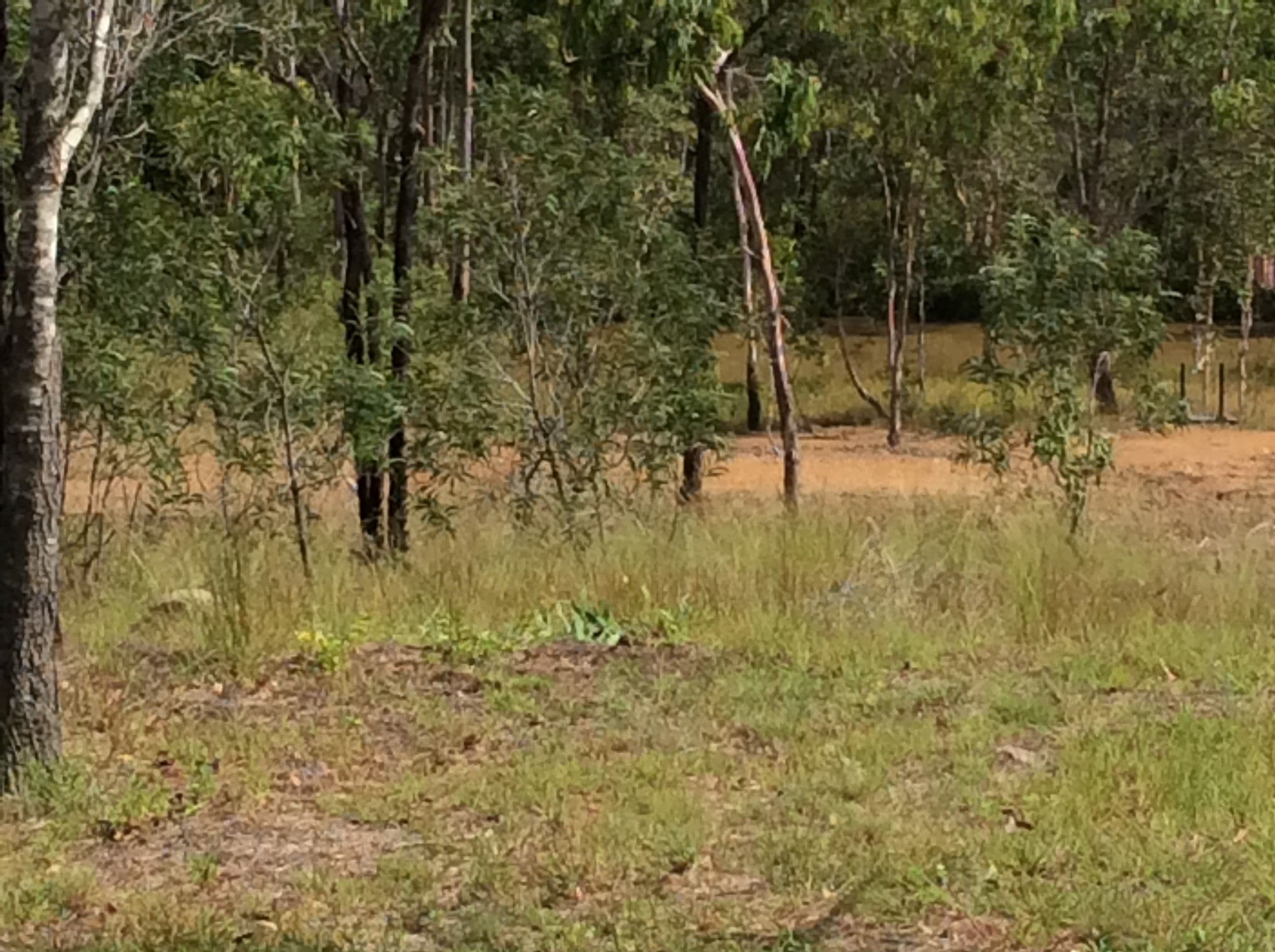 0 Bruce Highway, St Lawrence QLD 4707, St Lawrence - Thumbnail 2