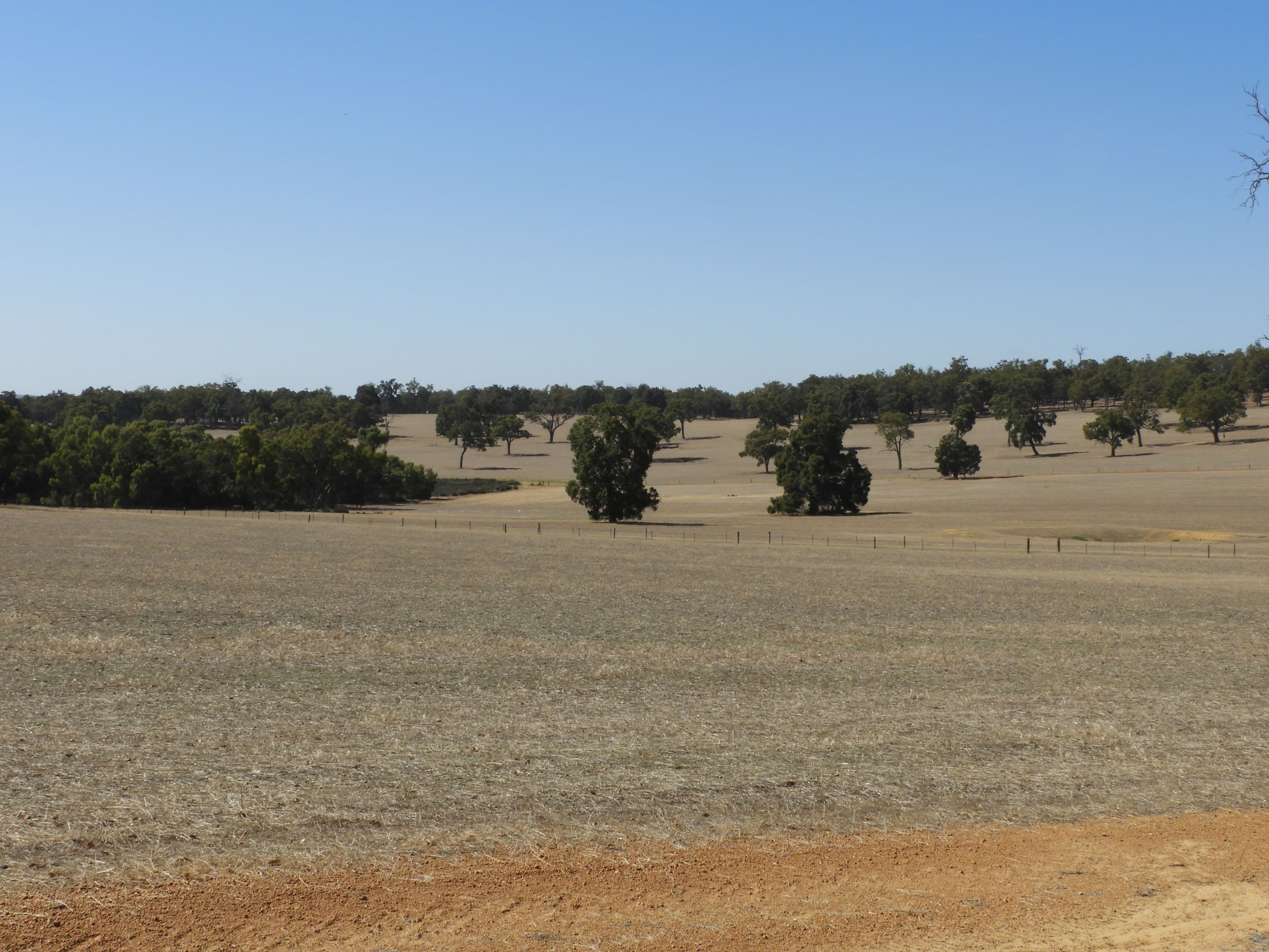 Sandrina Park, 7282 Albany Highway, Bannister WA 6390, North Bannister - Thumbnail 2